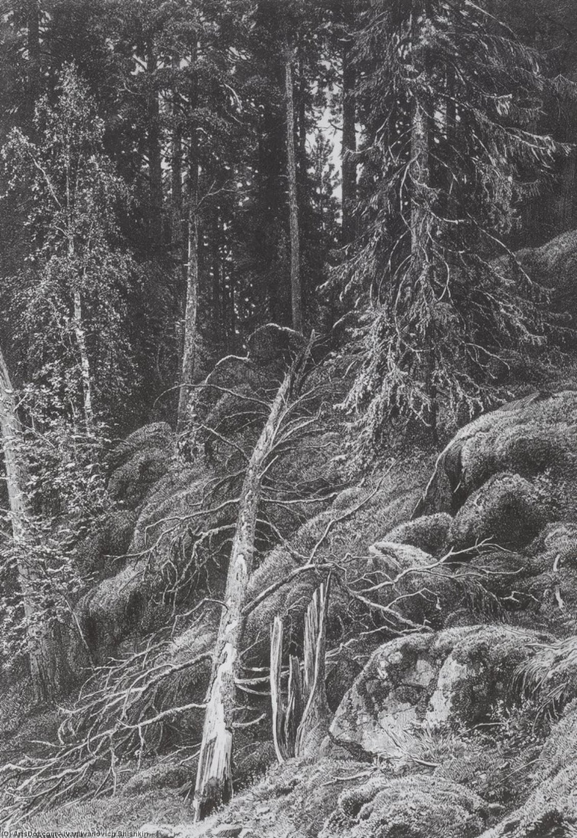 Taiga — Ivan Ivanovich Shishkin