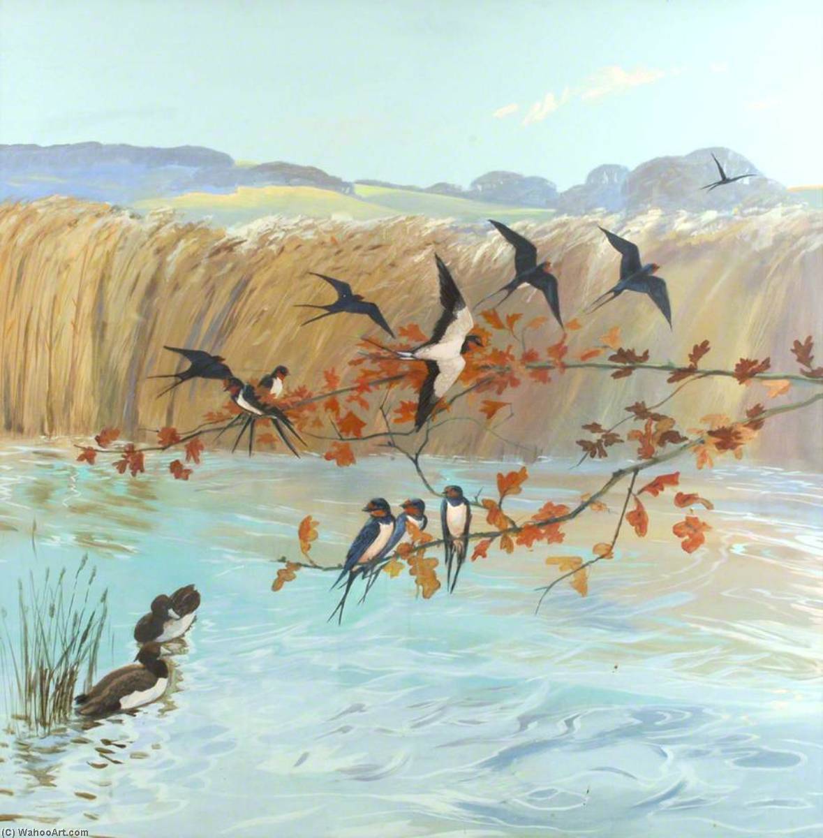 Swifts — Anne Toms