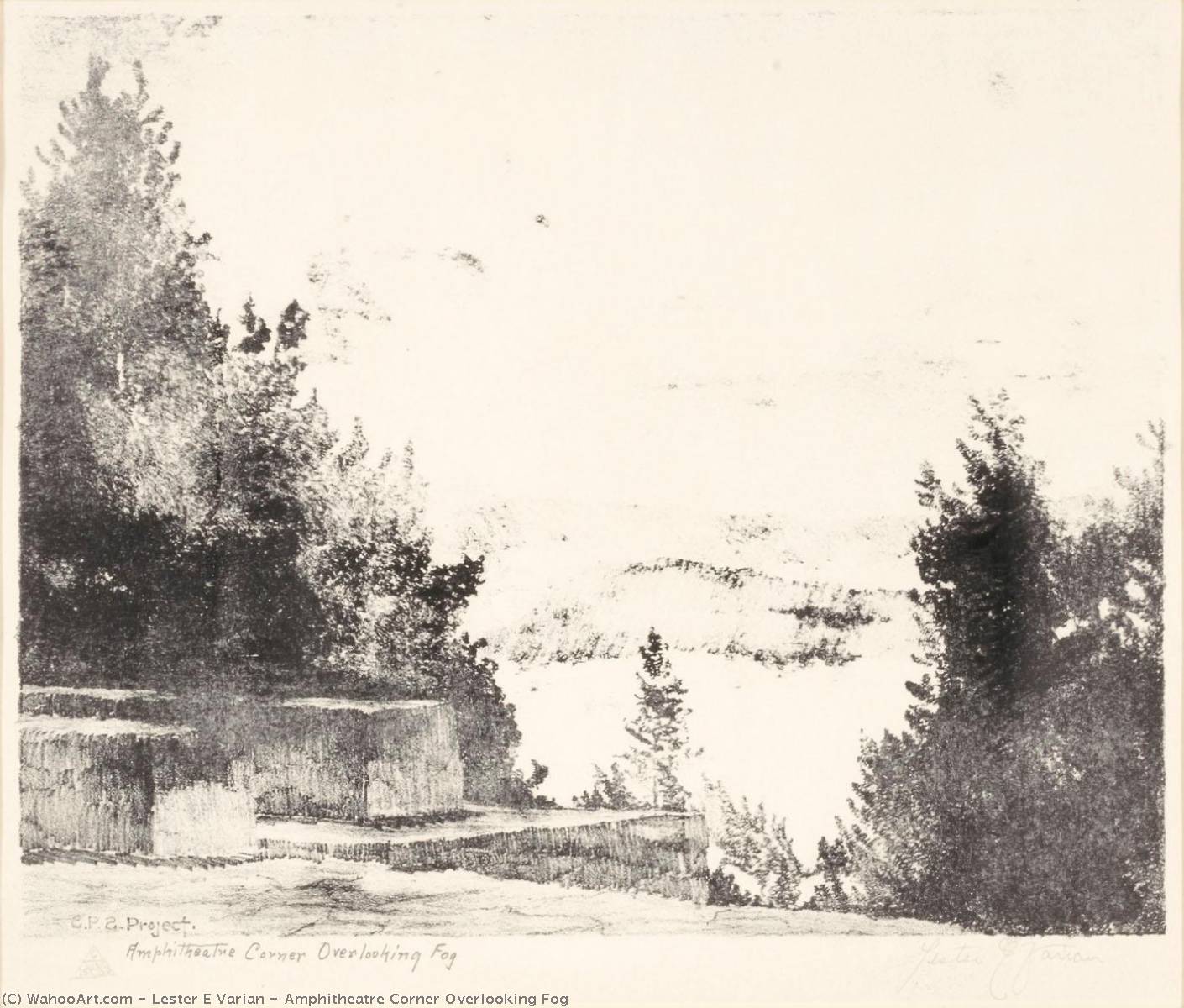 Amphitheatre Corner Overlooking Fog — Lester E Varian