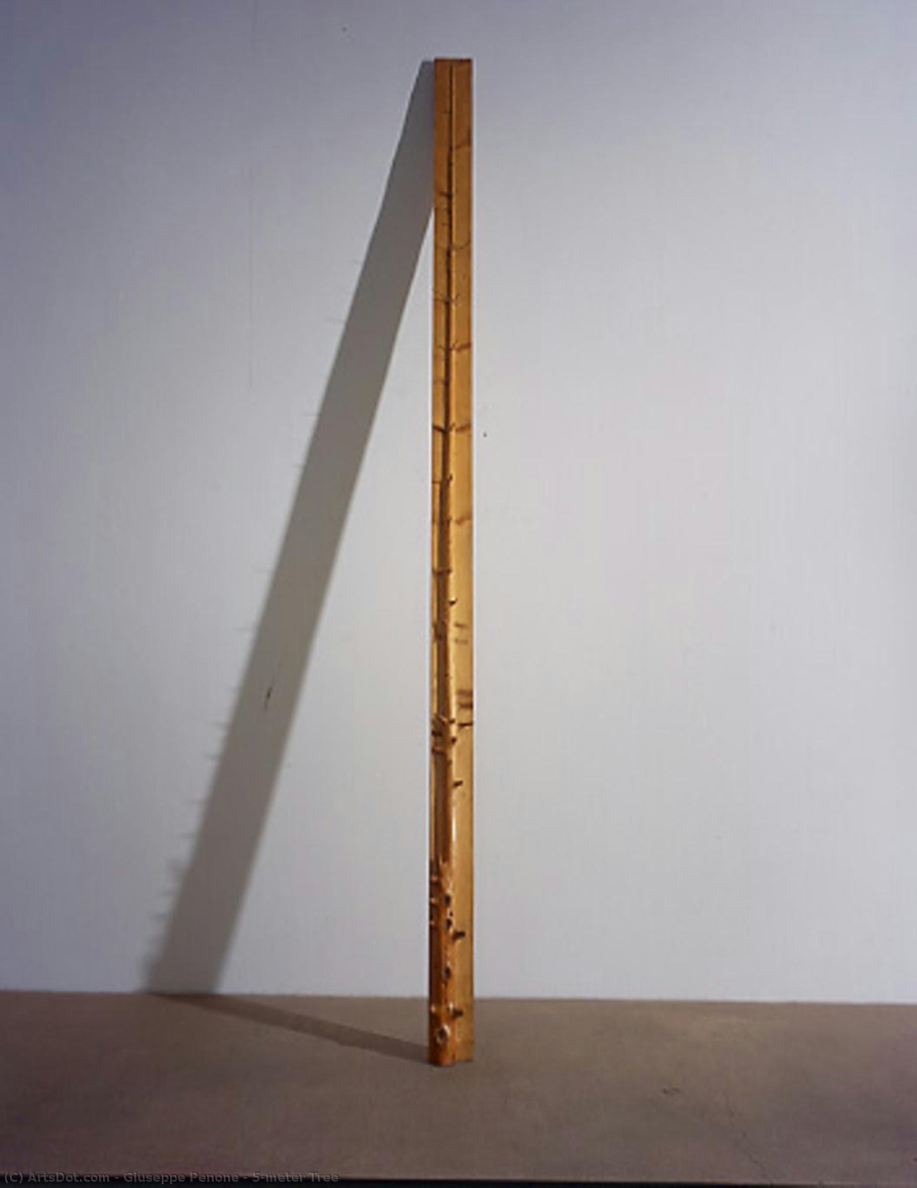 5-meter Tree — Giuseppe Penone