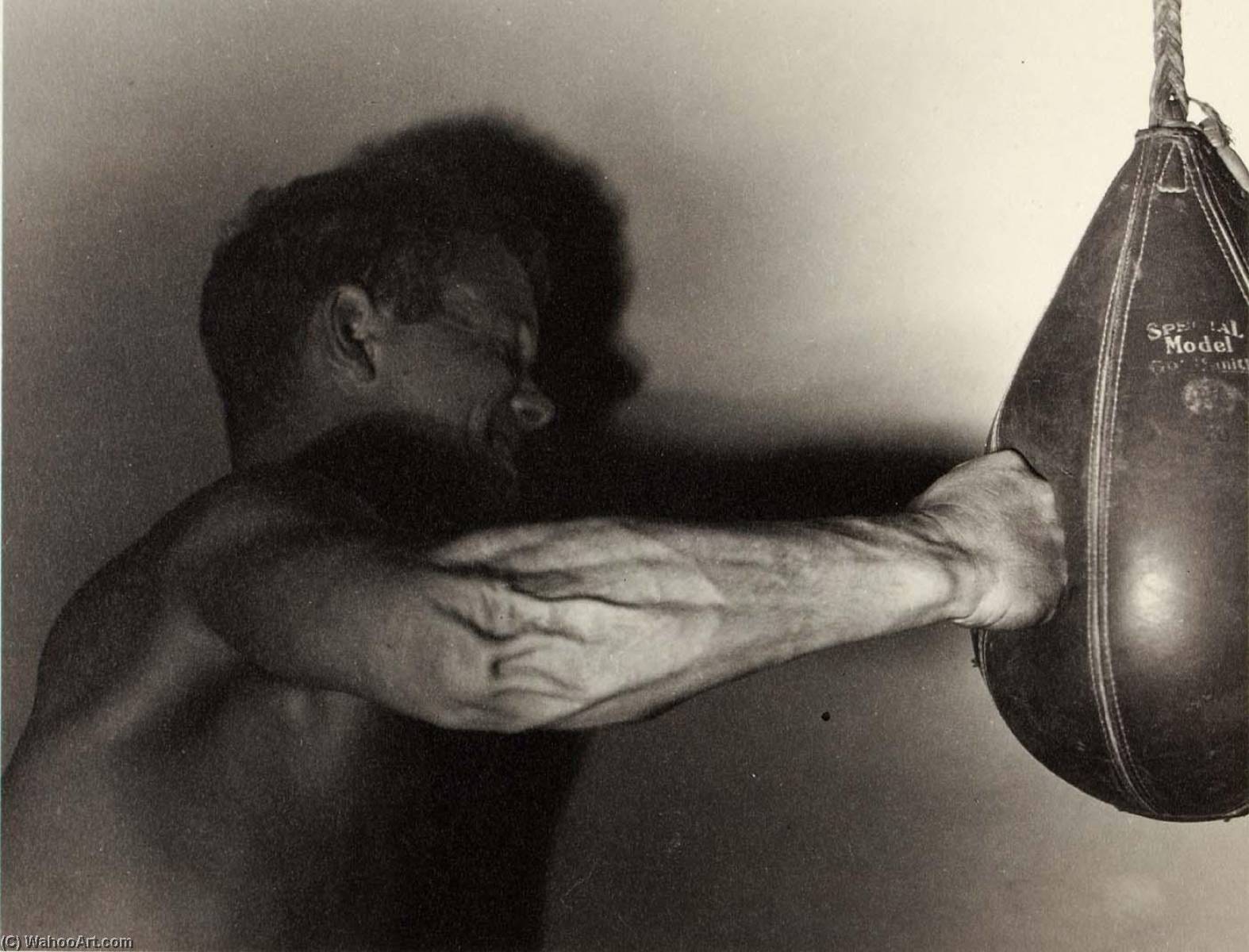 Unidentified Boxer Punching Bag — Harold E Edgerton
