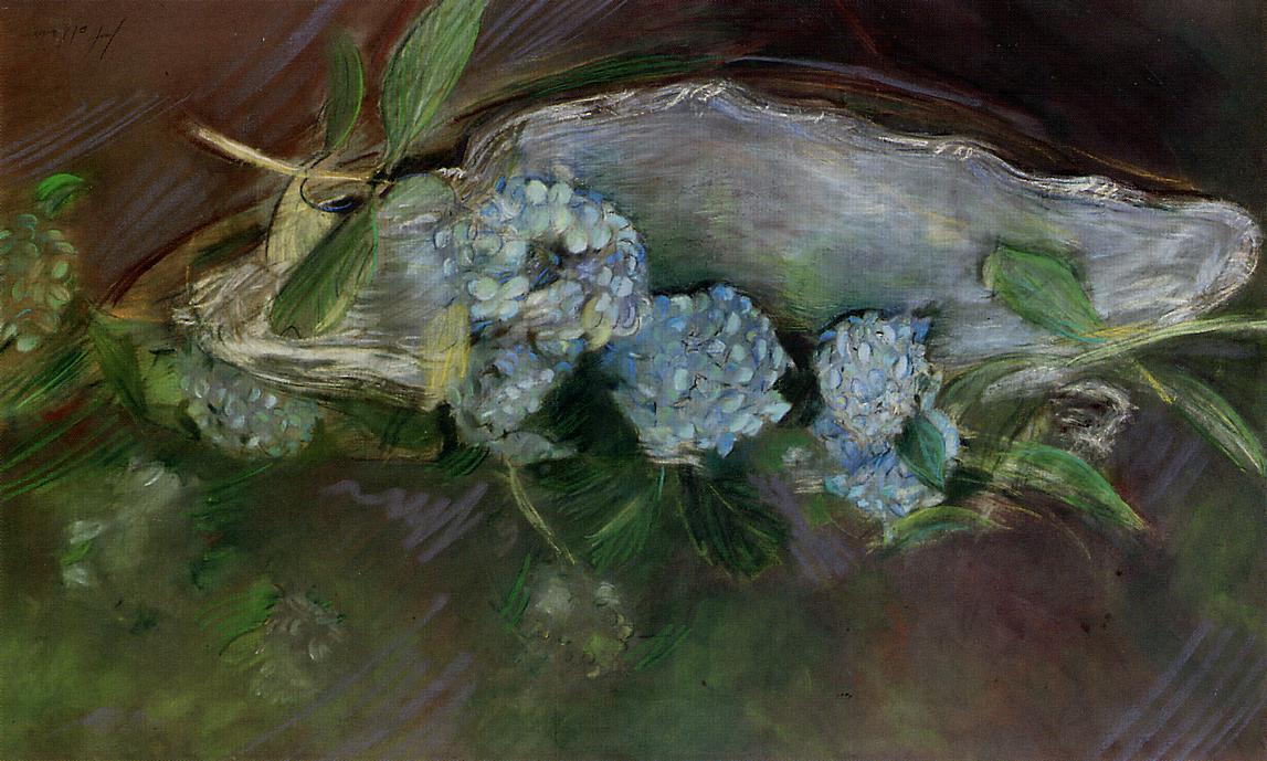 Hydrangeas — Пауль Сезар Хеллеу