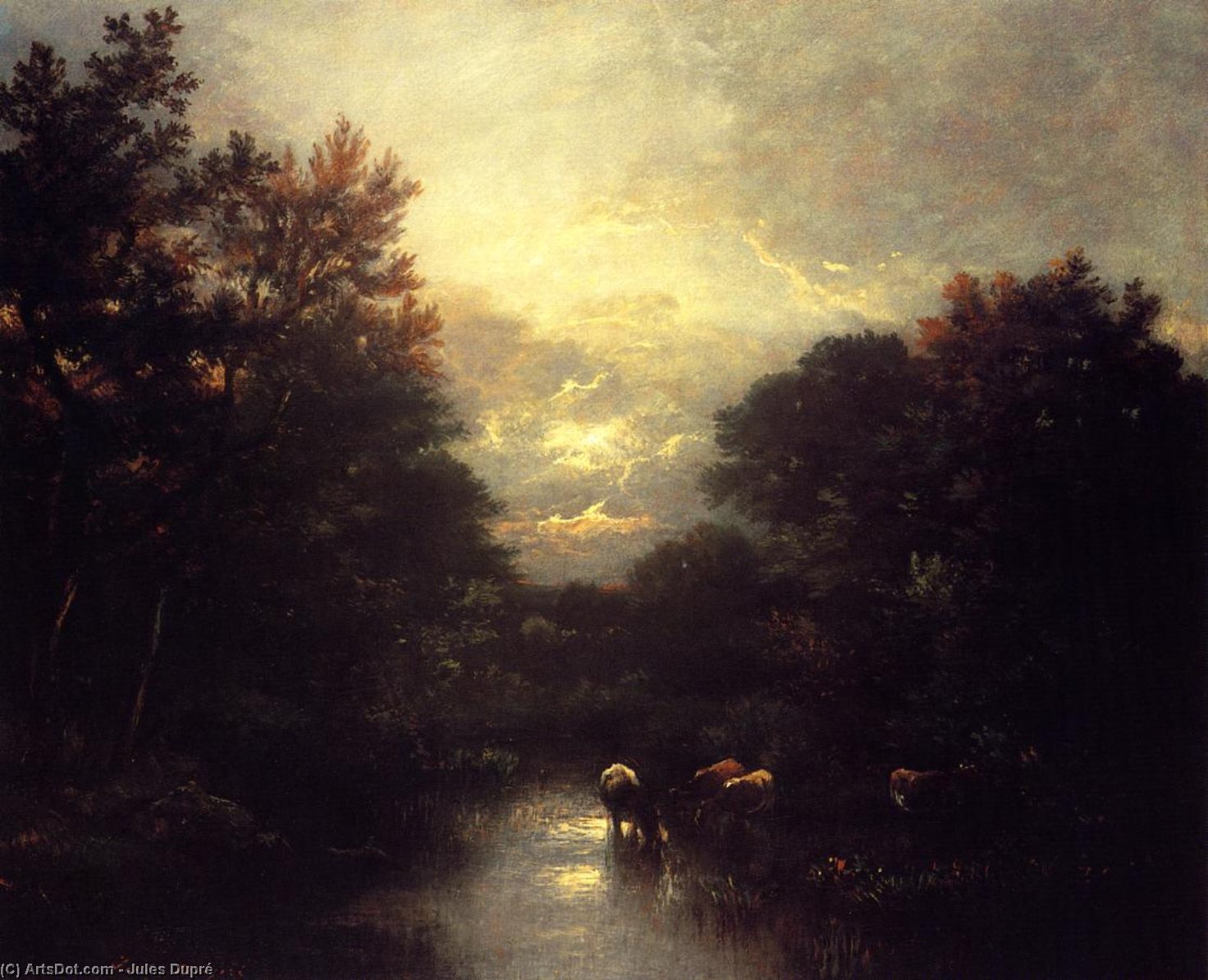 Sunset Over The Forest — Žil Dypre