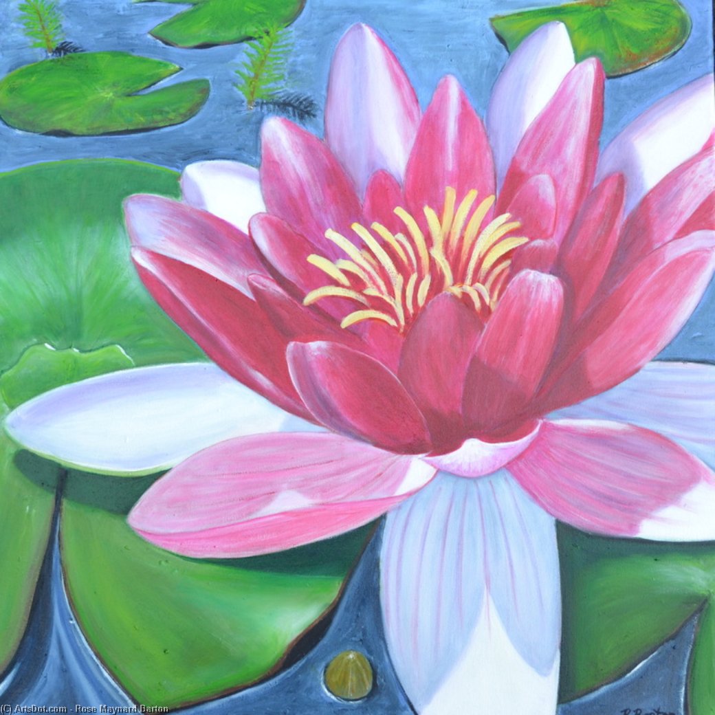 Lily Pond — Роза Мейнард Бёртон