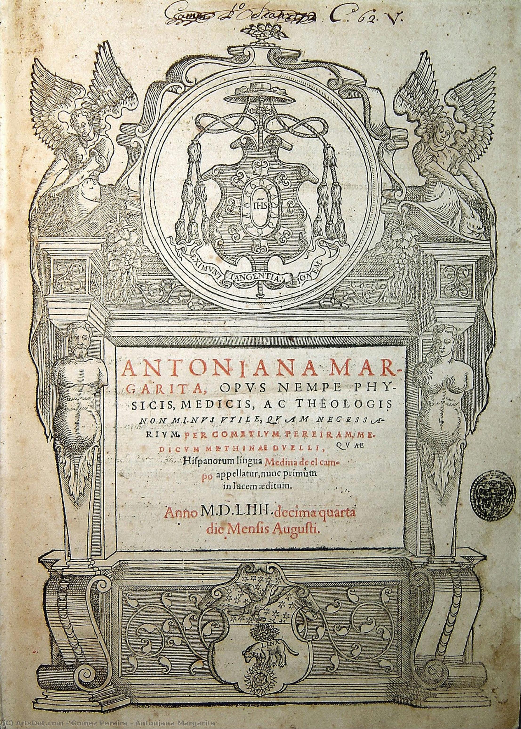 Antoniana Margarita — Gomez Pereira