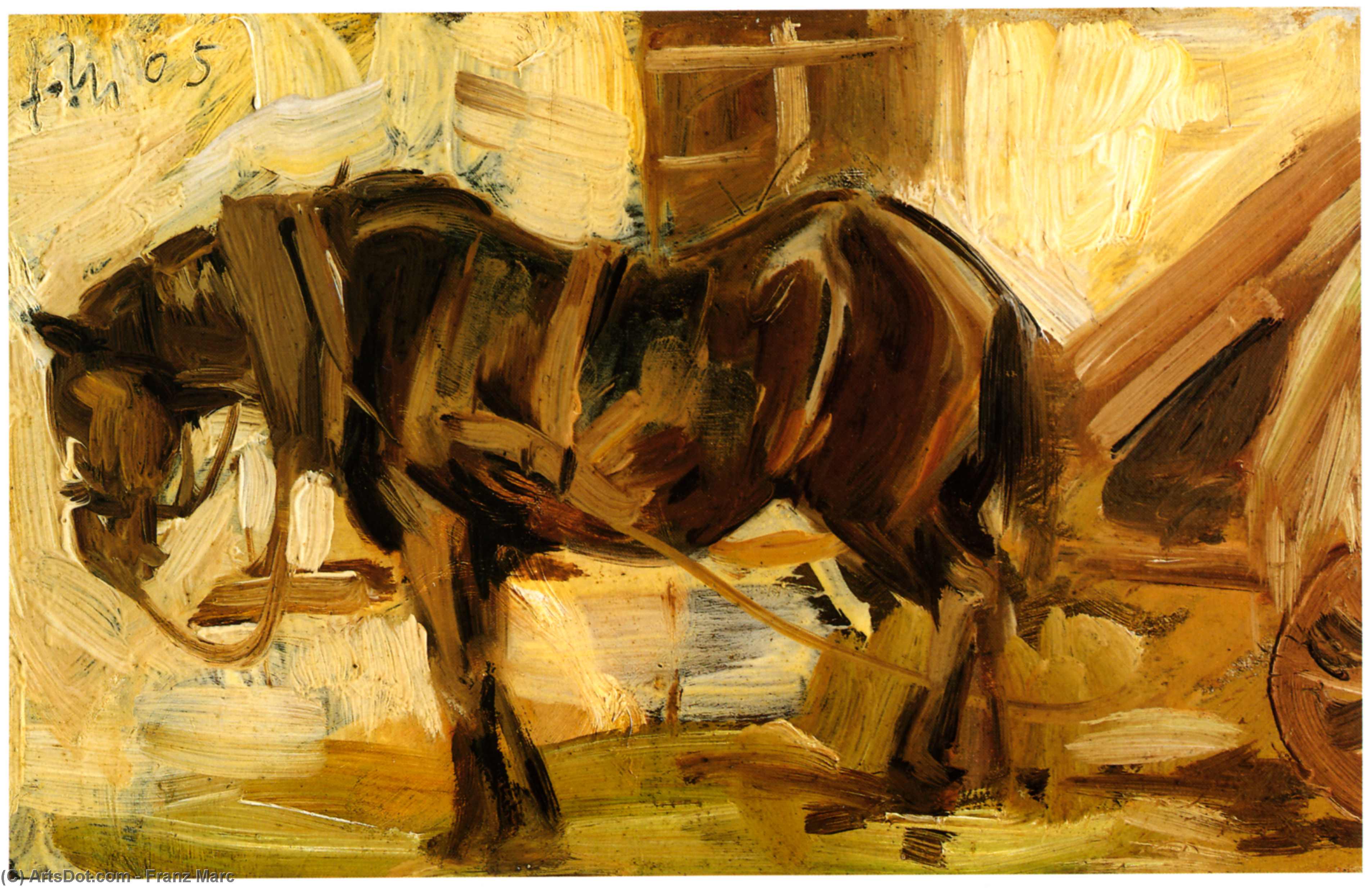 Small Horse Study — フランツ・マルク