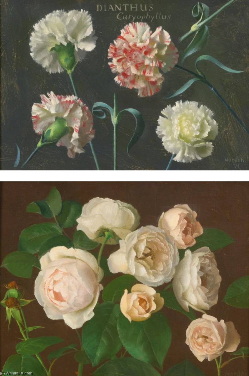 Carnations And Studies Of White Roses Two Paintings — Gerald Norden