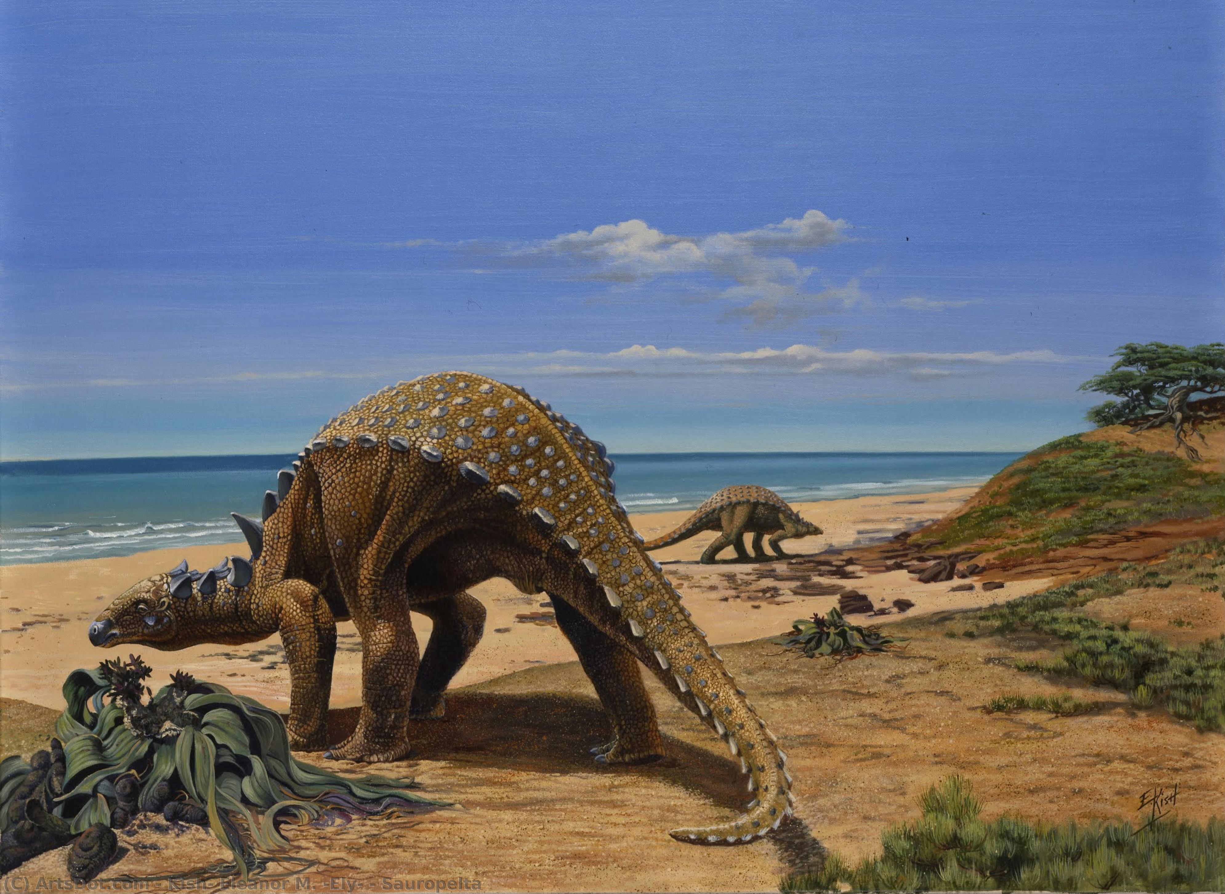 Sauropelta — Eleanor Kish