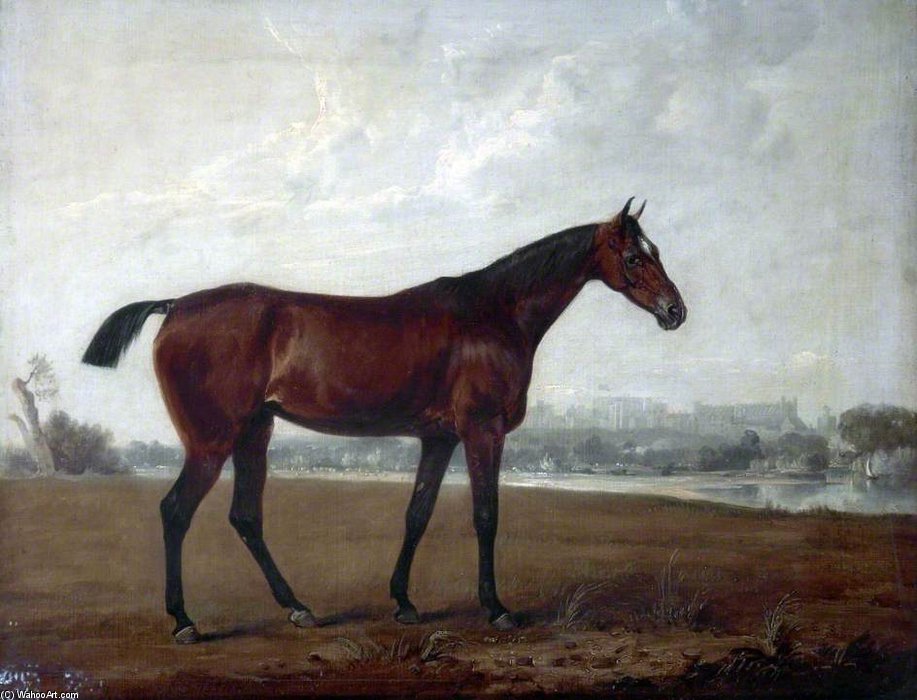 A Chestnut Hunter In A Meadow — Эдмунд Бристоу