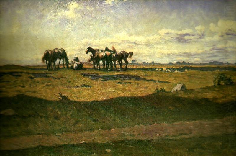 Midday — Nils Kreuger