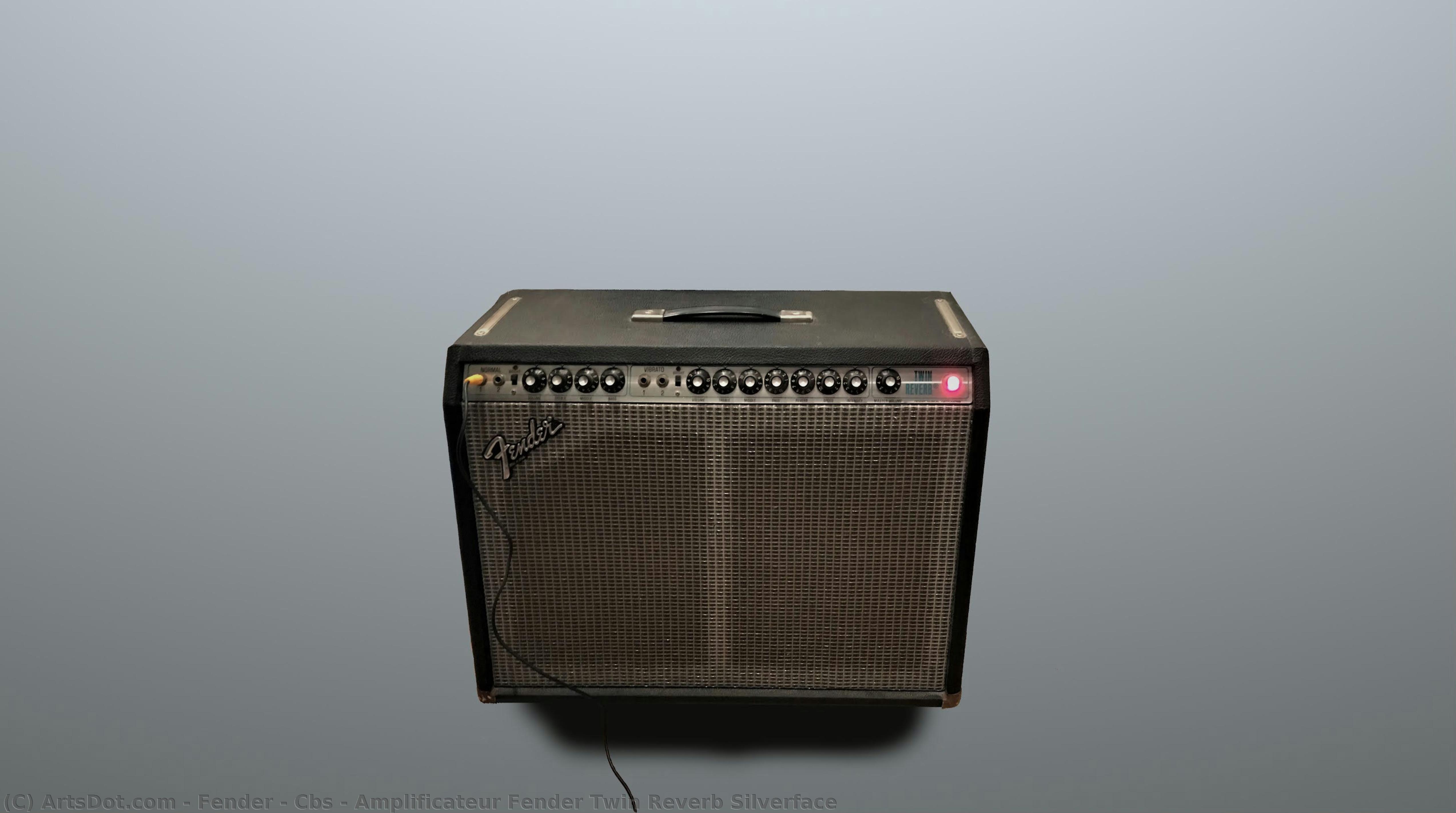 Amplificateur Fender Twin Reverb Silverface — Fender / Cbs