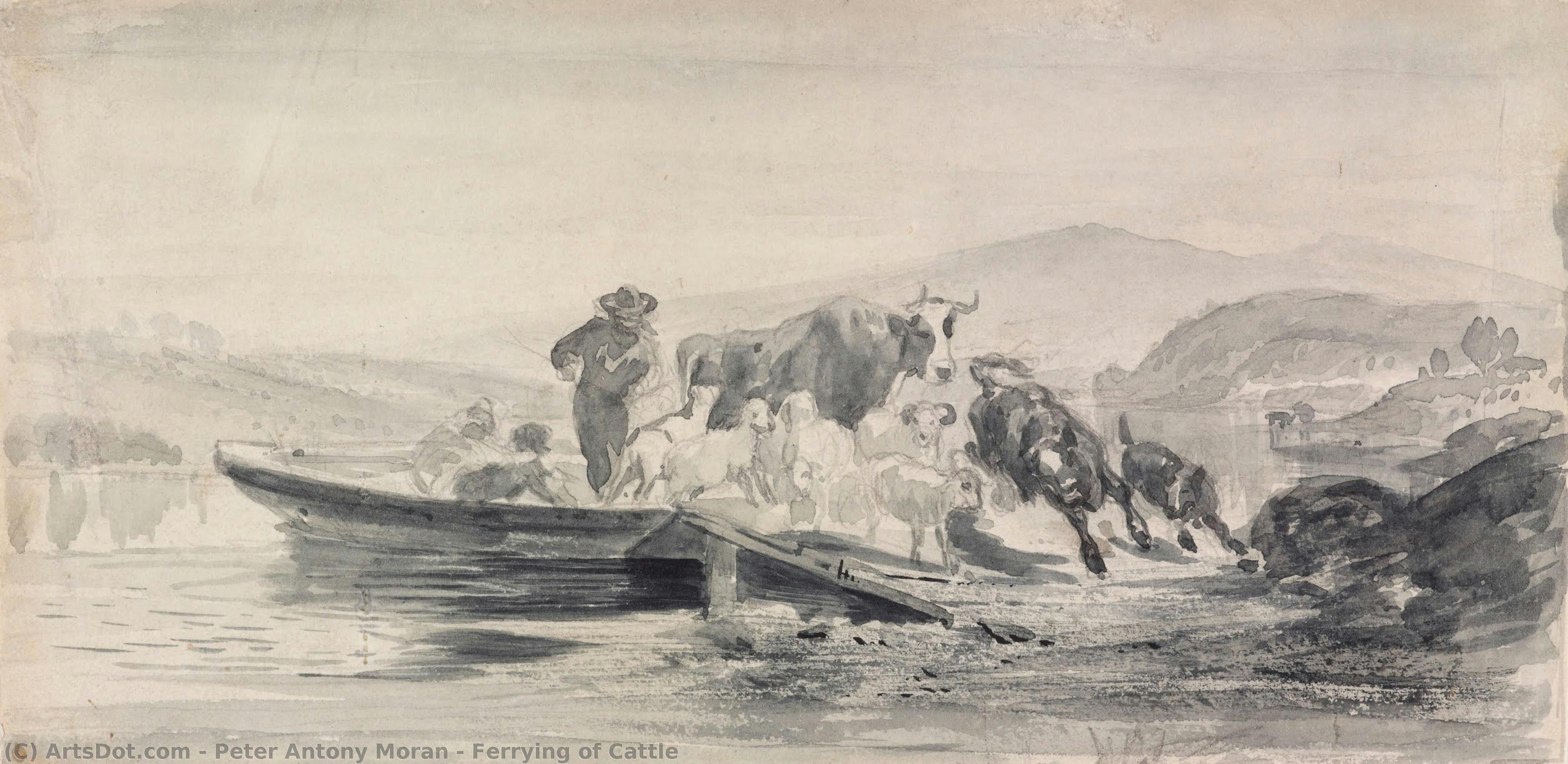 Ferrying Of Cattle — Peter Antony Moran