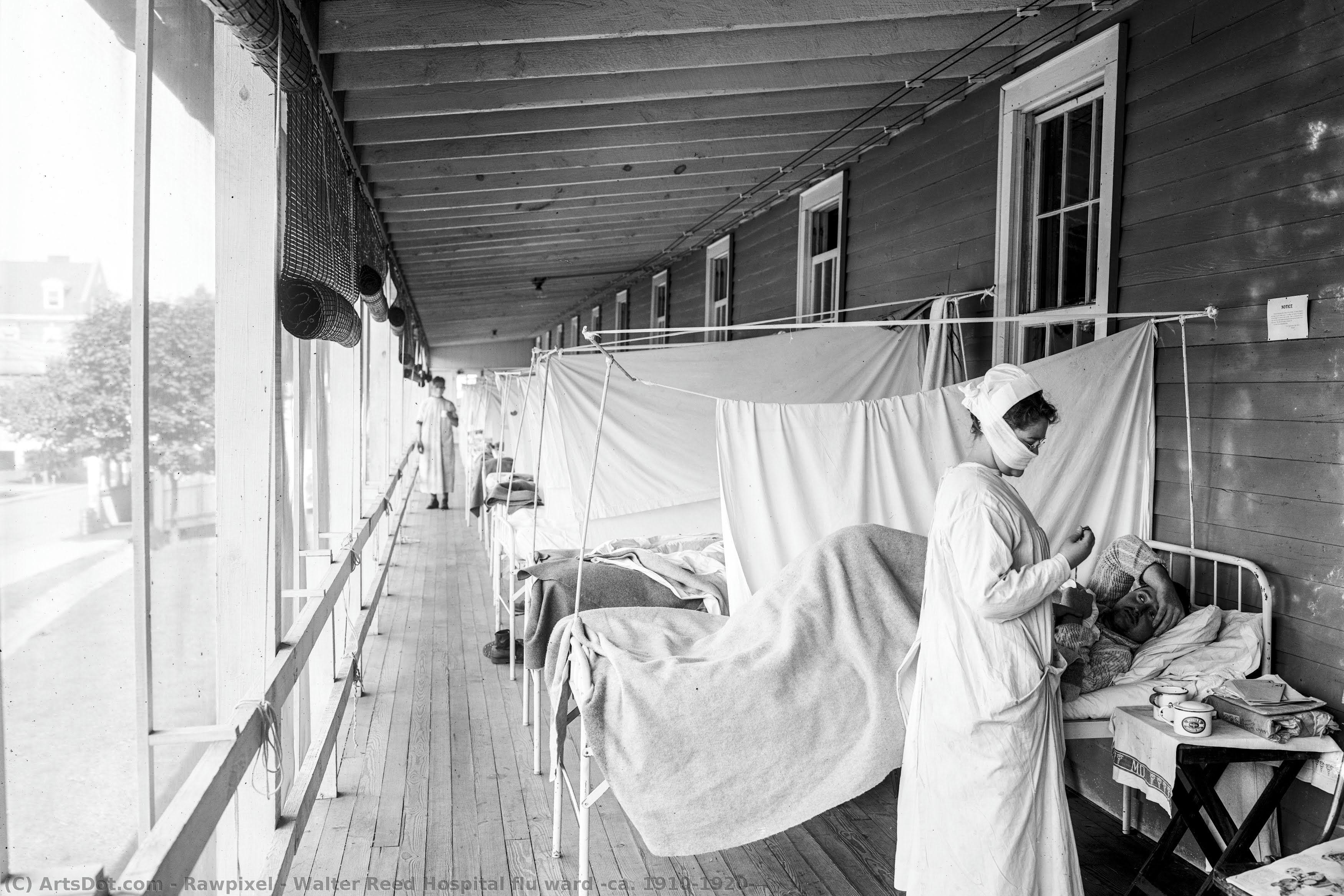 Walter Reed Hospital Flu Ward (ca. 1910–1920) — Rawpixel