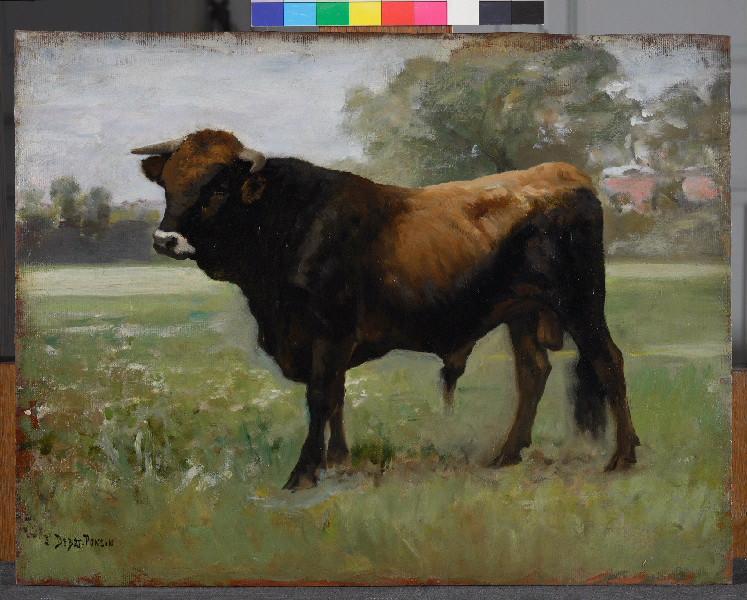 Le Taureau Noir — Edoar Debat-ponsan