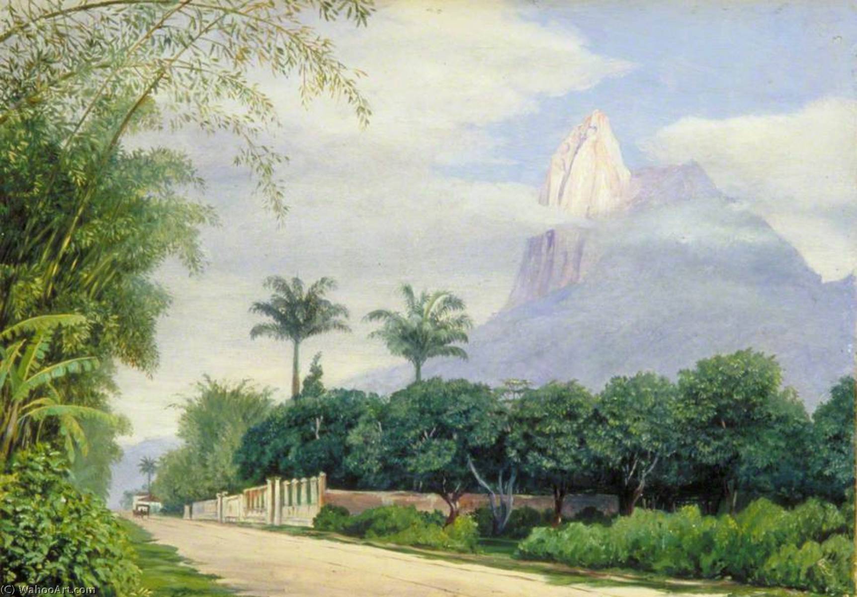 Blick Auf Den Corcovado Bei Rio De Janeiro, Brasilien — Marianne North