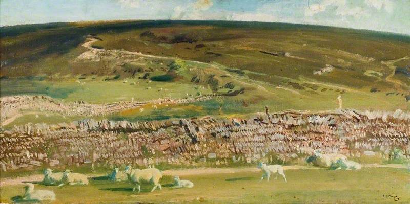 A View Of Exmoor, Sheep By The Wall In The Foreground — Алфред Џејмс Менингс