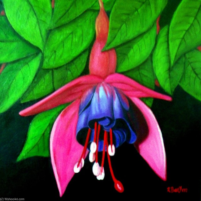 Fuchsia — Роза Мейнард Бёртон