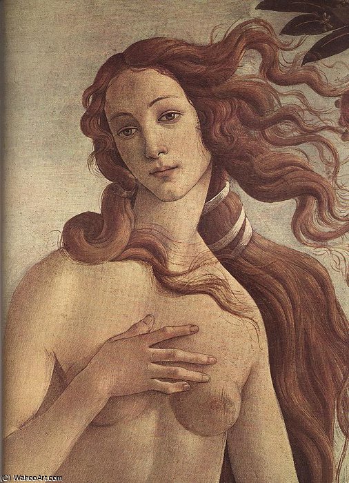 Venus — Sandro Botticelli