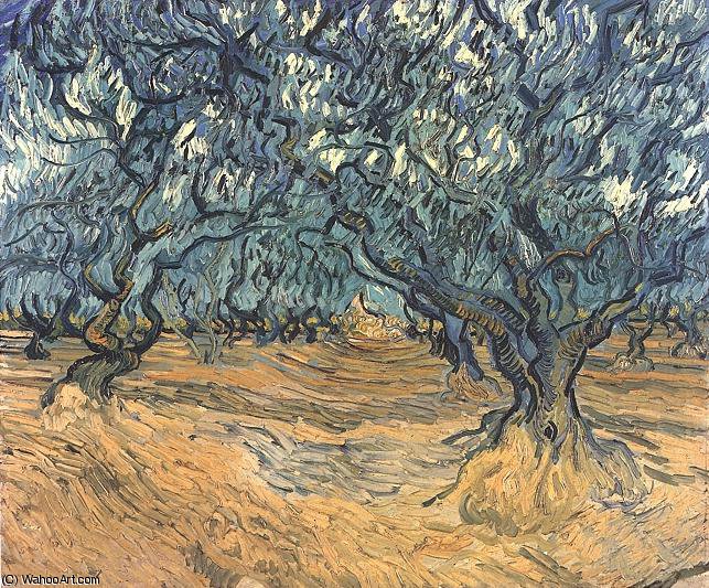 Die Olivengärten — Vincent Willem Van Gogh