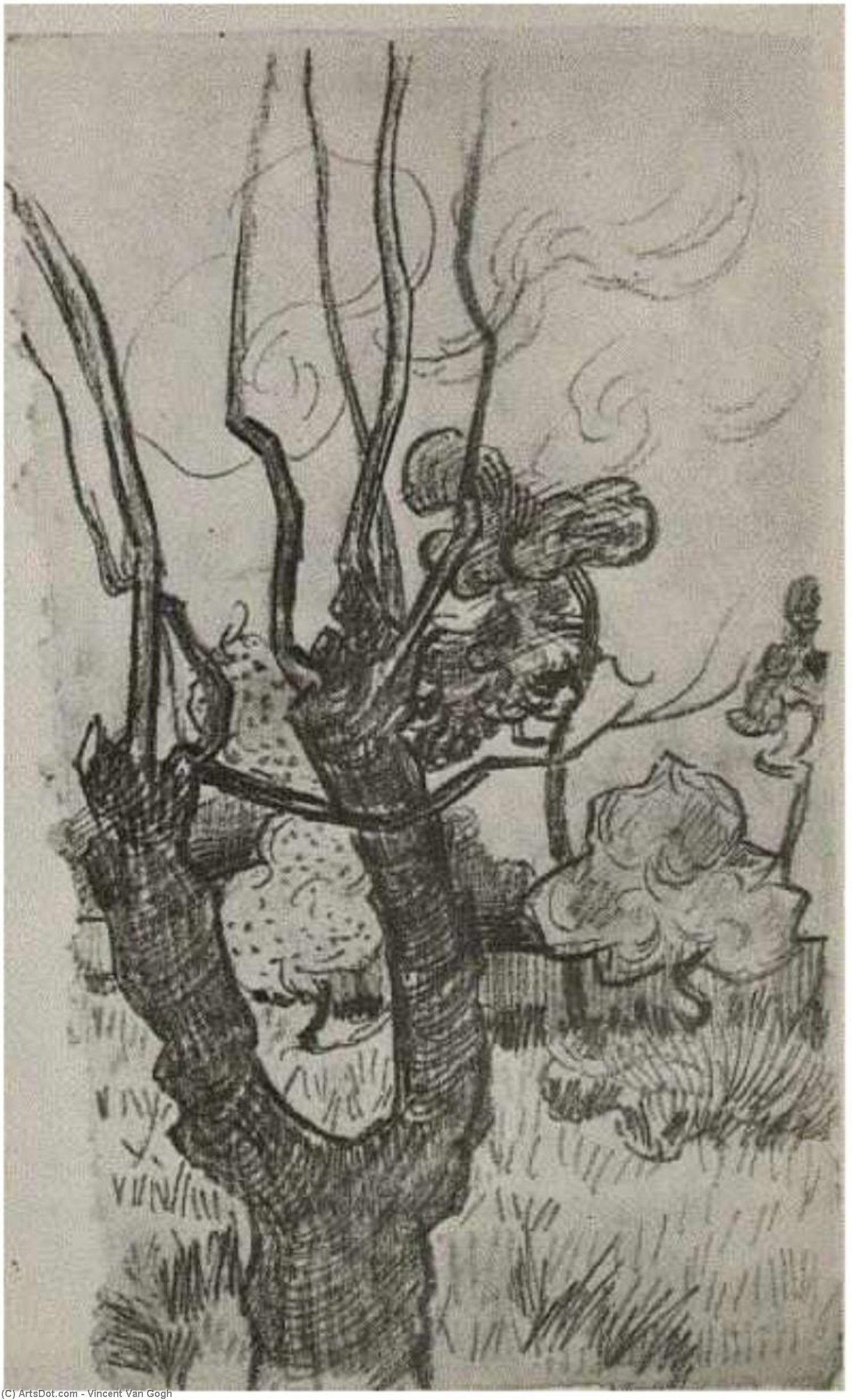 Ein Kahler Baumkronenblick Im Garten Des Asyls — Vincent Willem Van Gogh