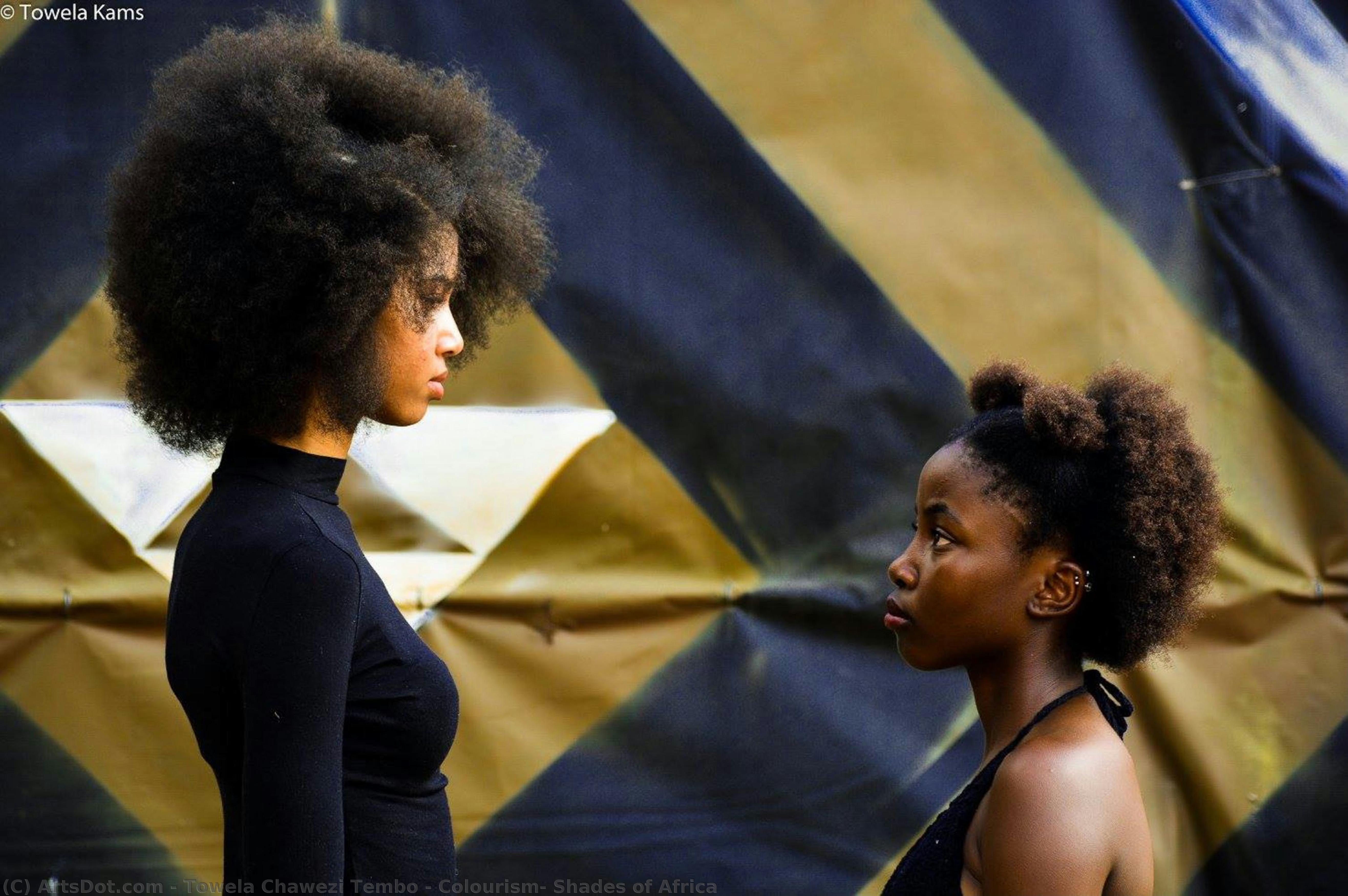 Colourism: Shades Of Africa — Towela Kams