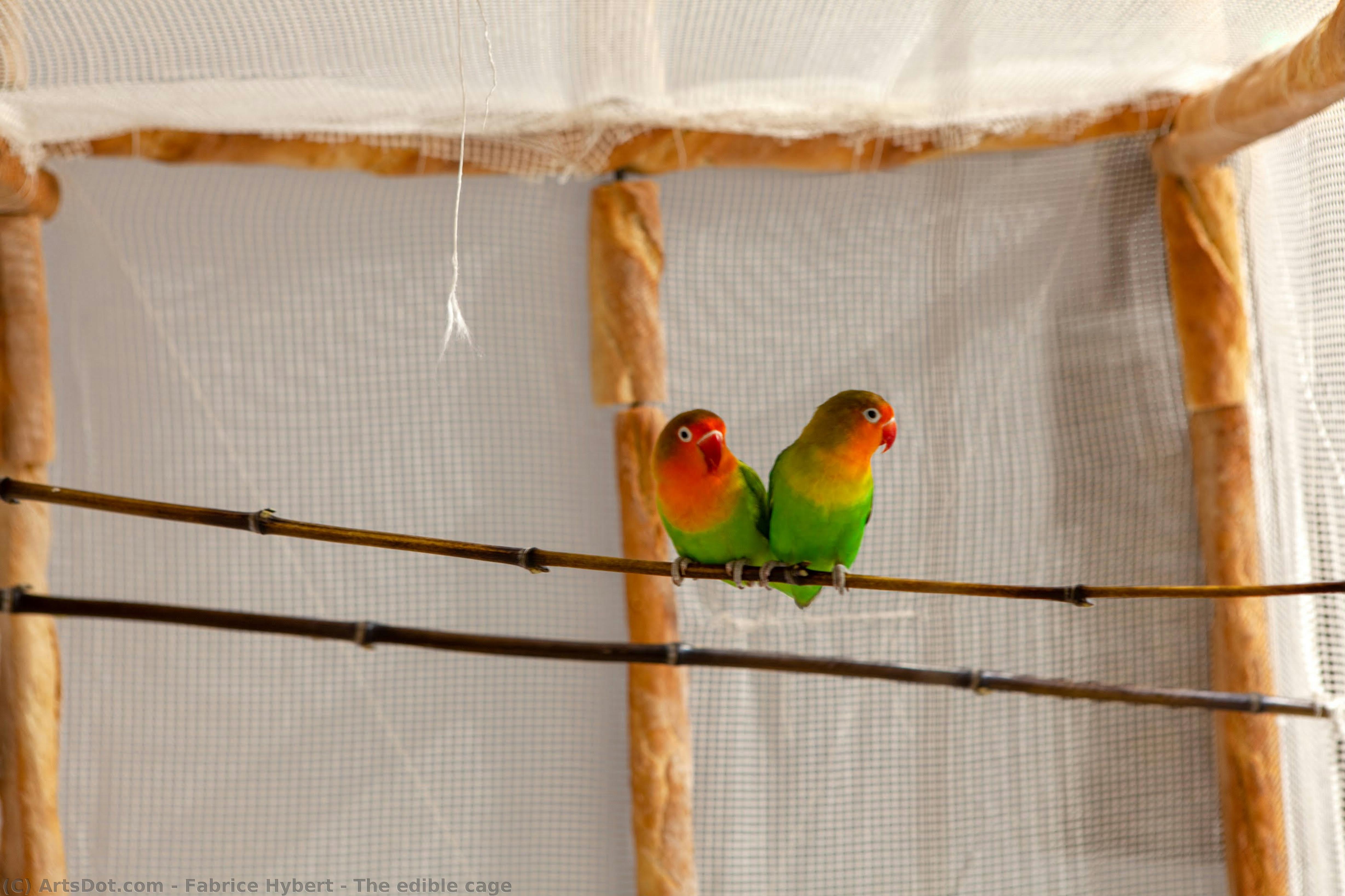 The Edible Cage — Fabrice Hybert