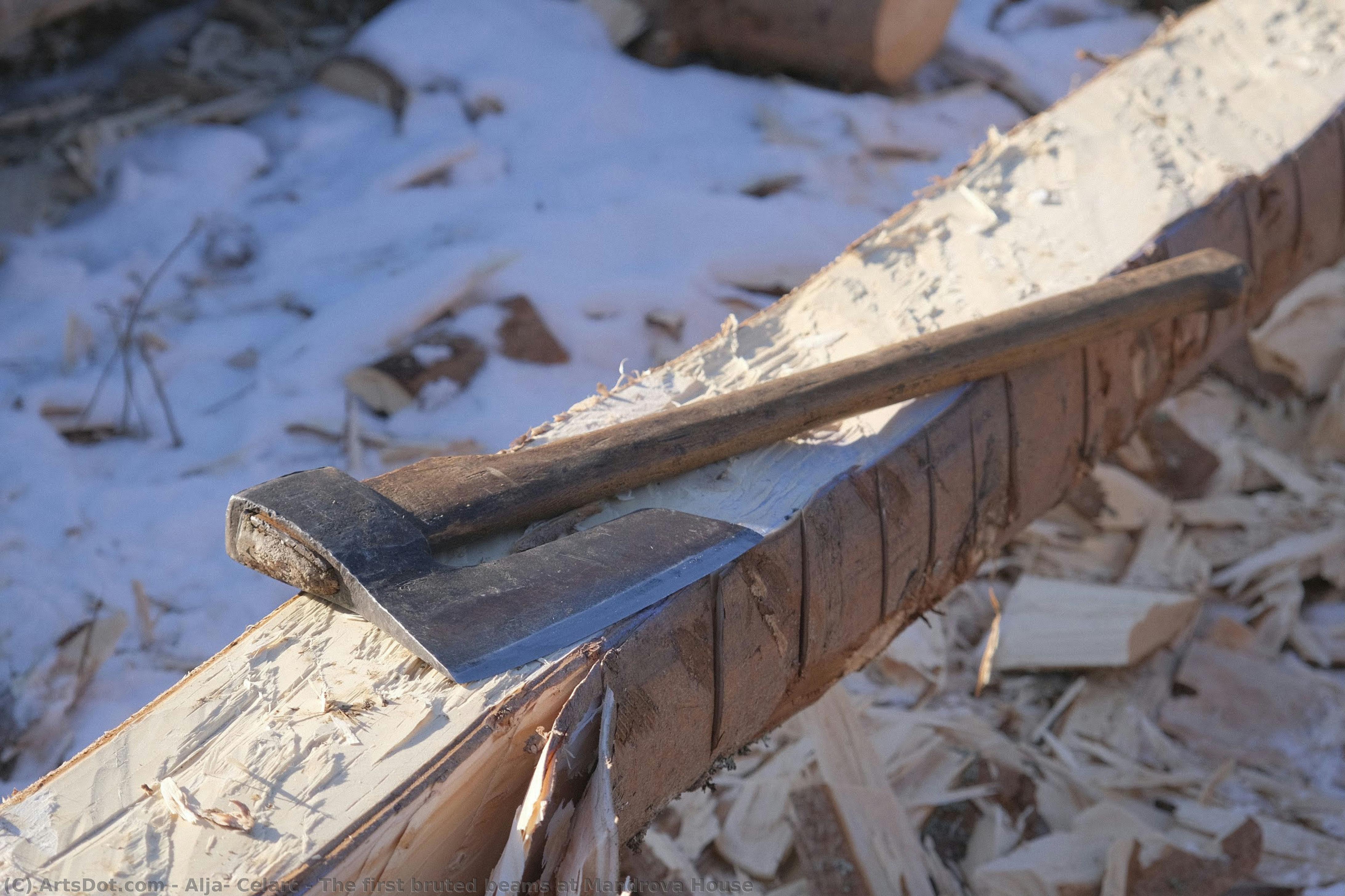 The First Bruted Beams At Mandrova House — Aljaž Celarc