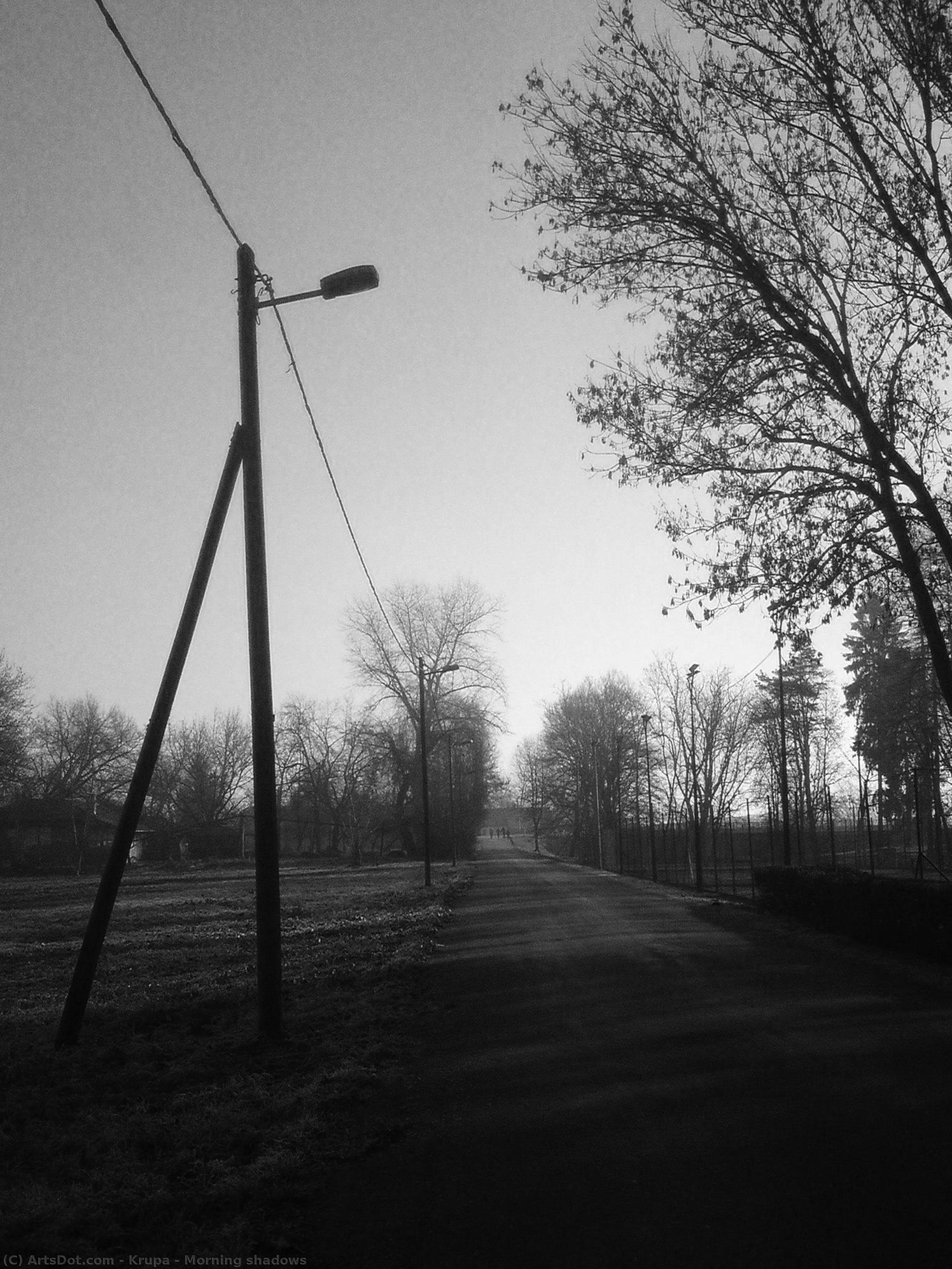 Morning Shadows — Alfred Freddy Krupa