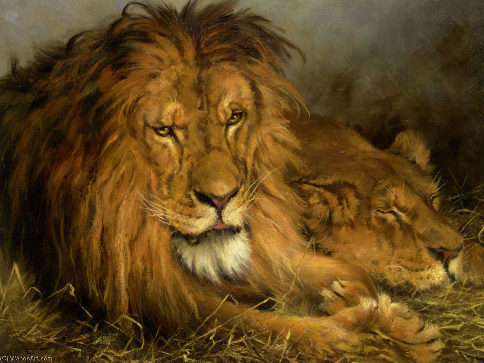 A Lion And A Lioness — Geza Vastagh