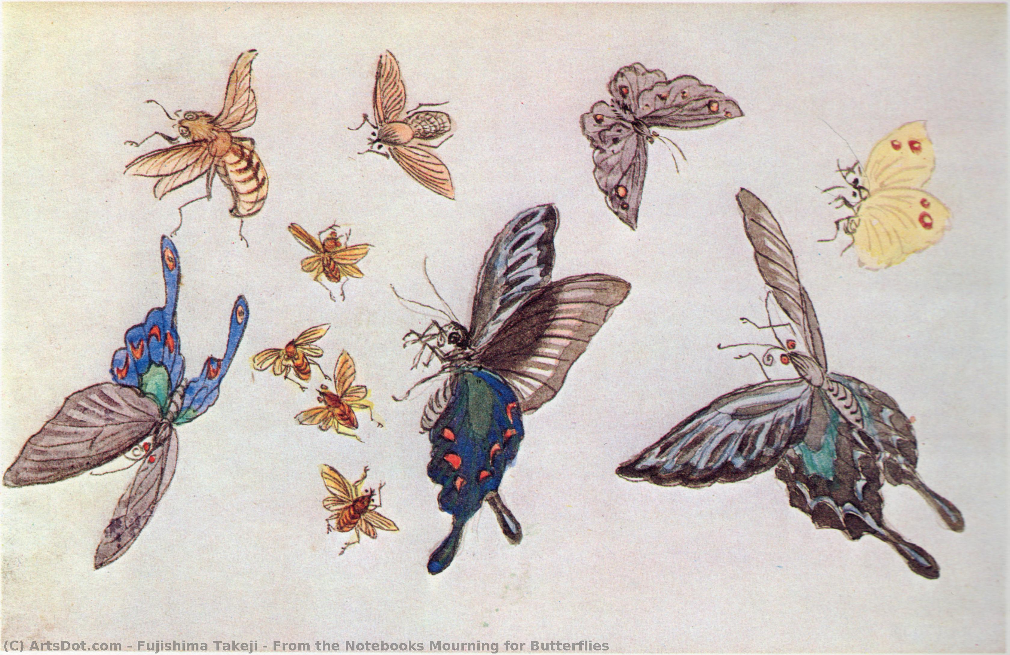From The Notebooks Mourning For Butterflies — Fujishima Takeji
