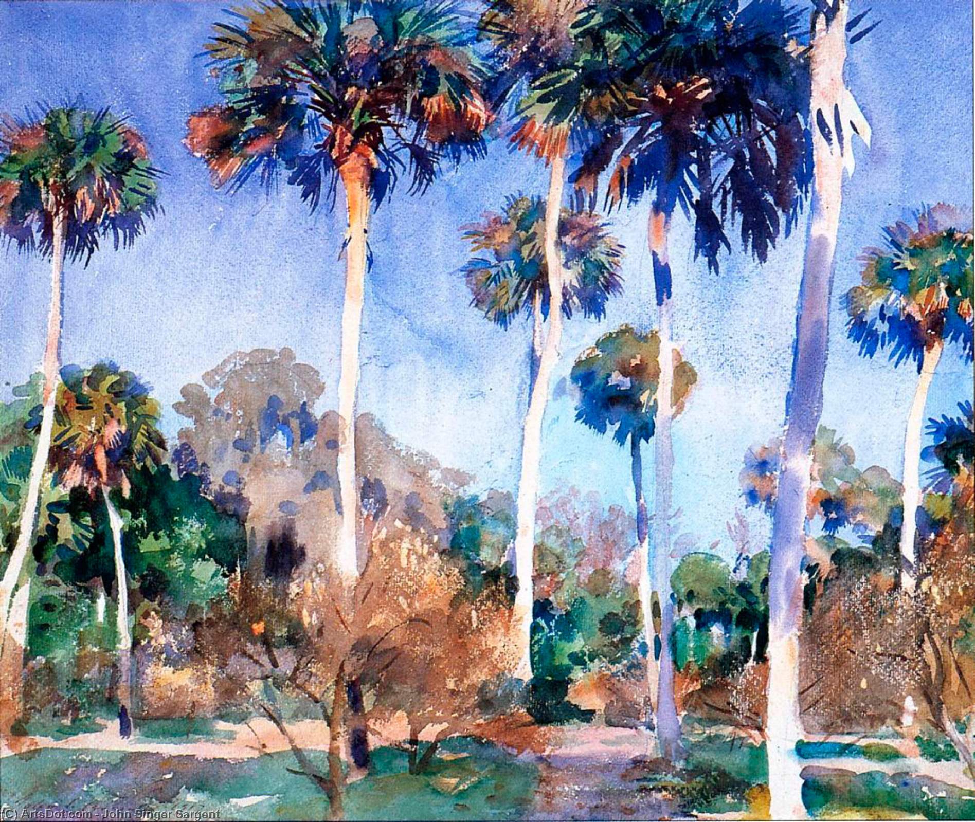 Palms — Сарджент