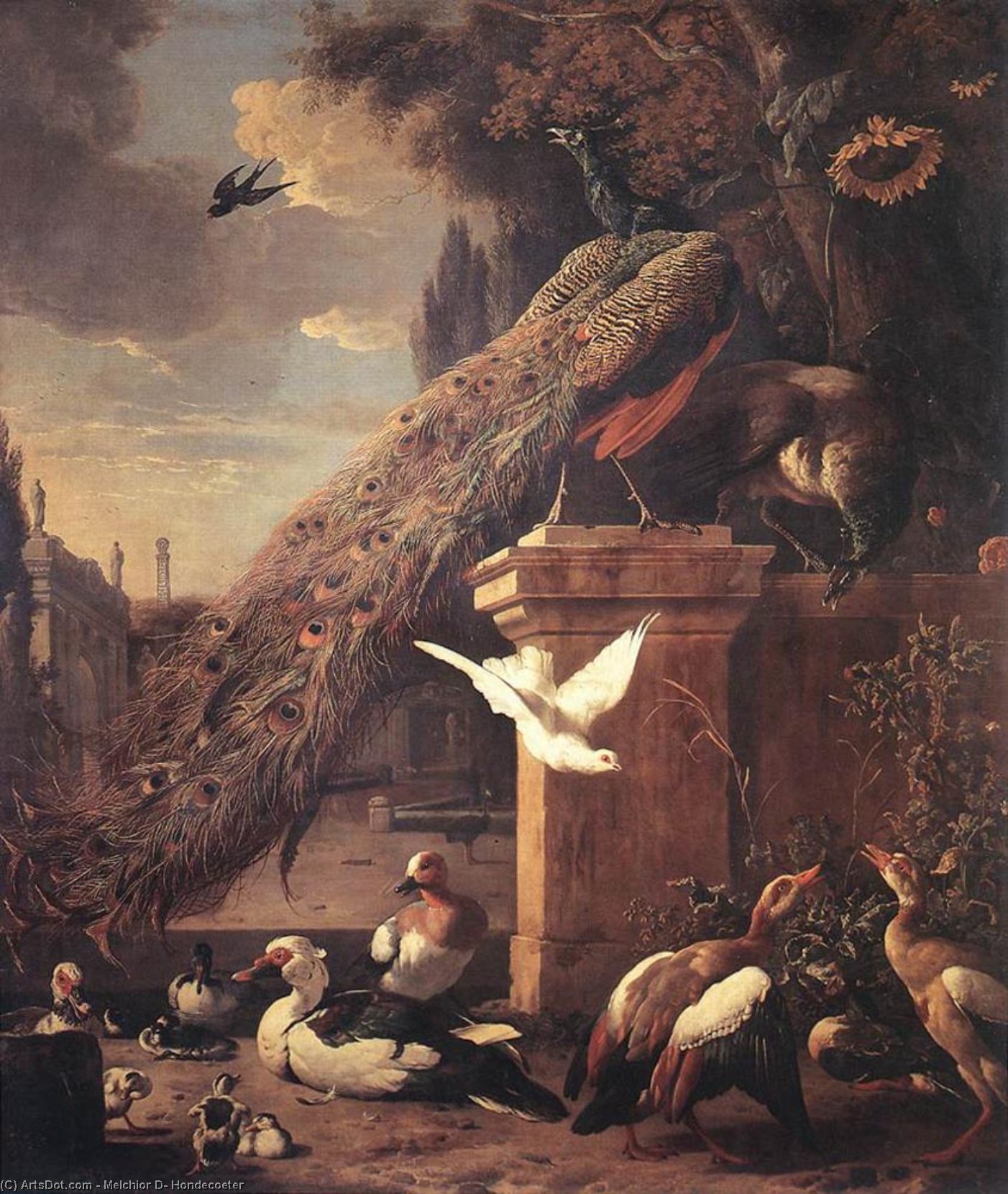 Peacocks And Ducks — Melchior De Hondecoetter