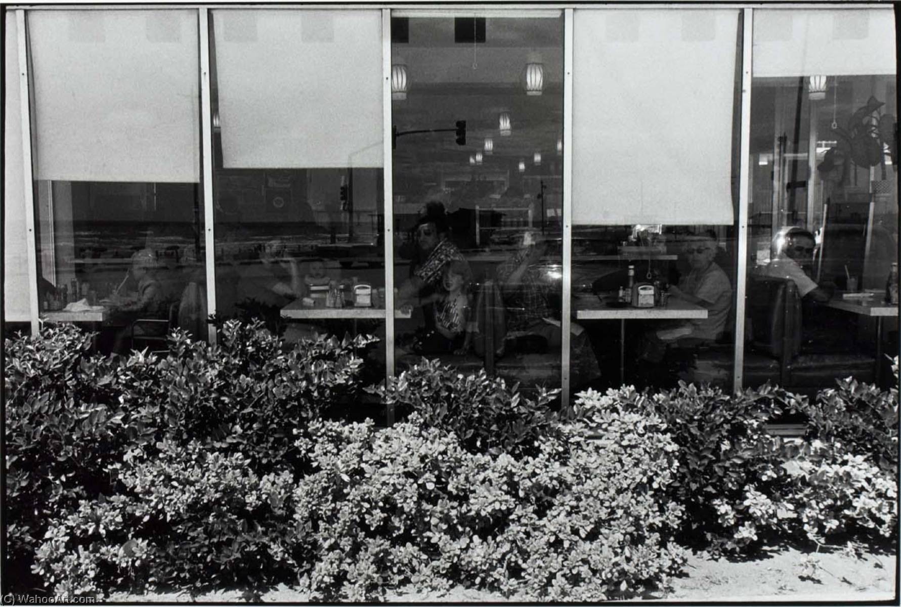 Untitled (window And Shrubs) — Paul Hester