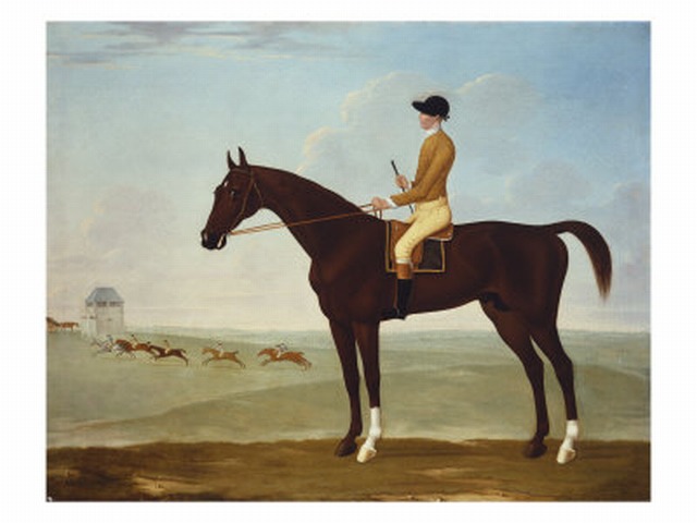 Chesnut Racehorse With Jockey Up On Newmarket Heath 18th Century — John Byam Liston Shaw