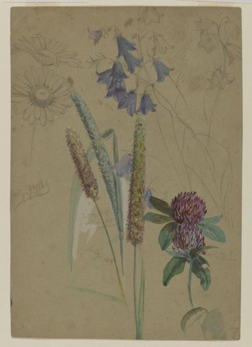 Flower Study — Уильям Трост Ричардс
