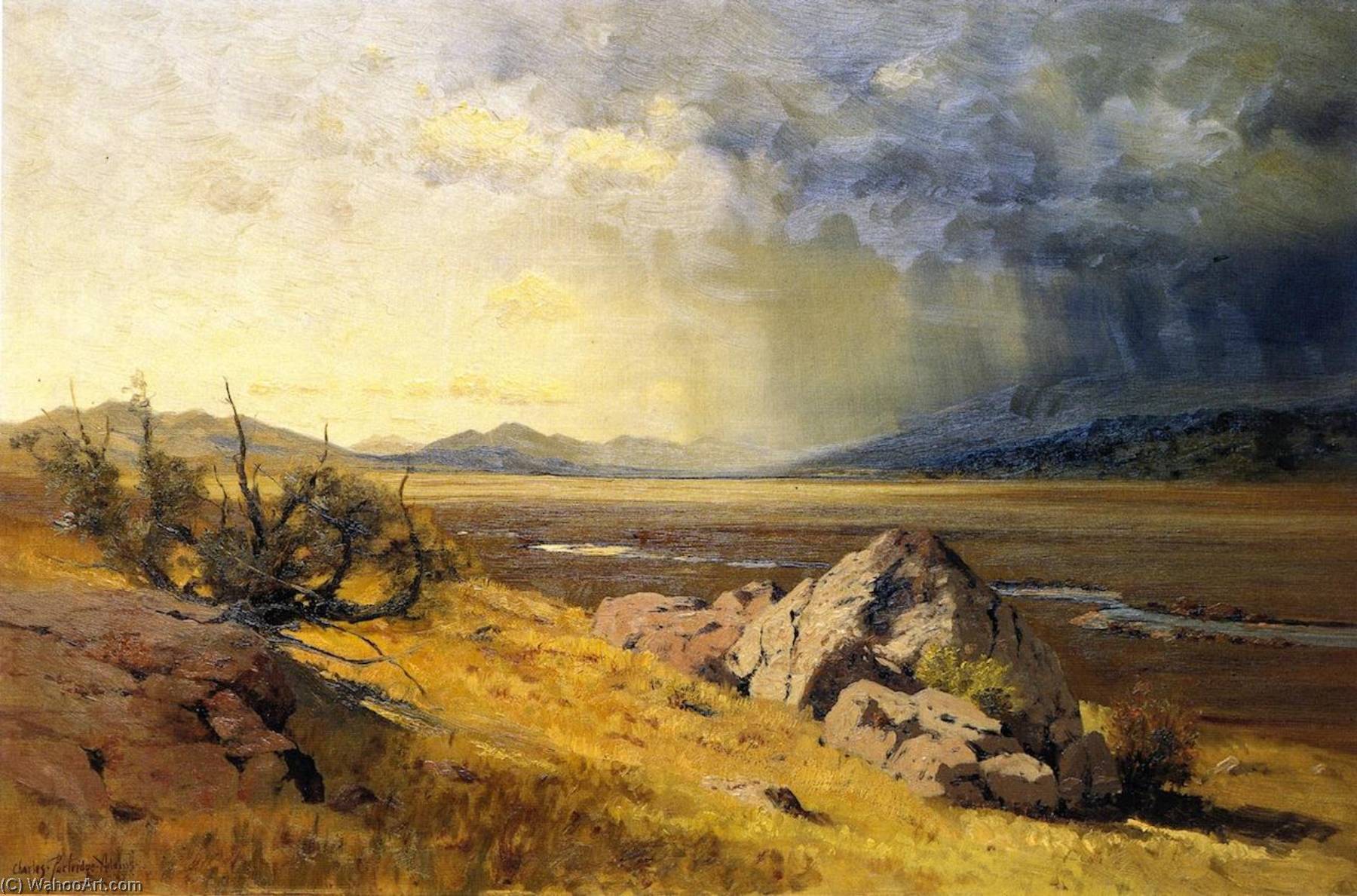 Looking Across South Park — Charles Partridge Adams