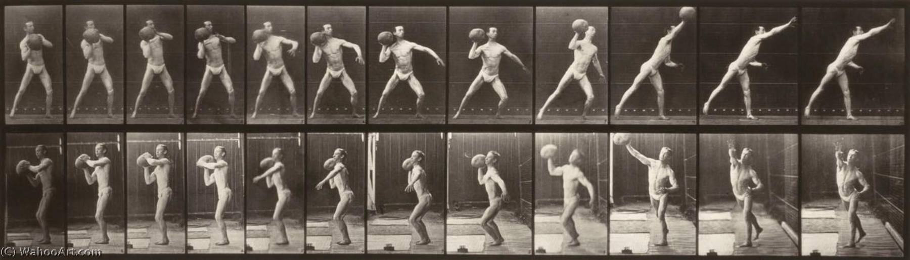 Animal Locomotion (plate 319) (man Throwing A Ball) — Eadweard J Muybridge