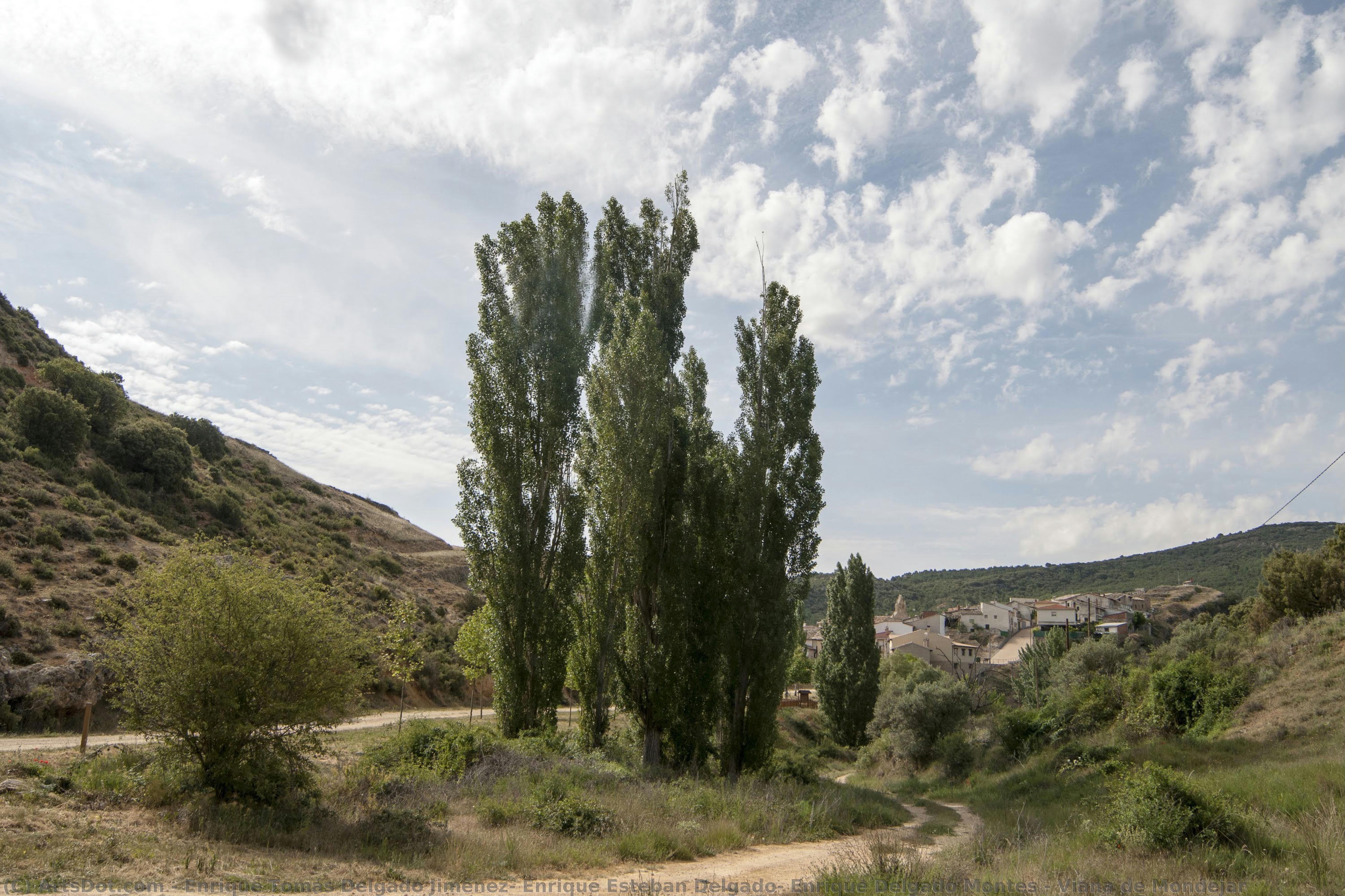 Viana De Mondejar — Enrique Tomás Delgado Jiménez, Enrique Esteban Delgado, Enrique Delgado Montes