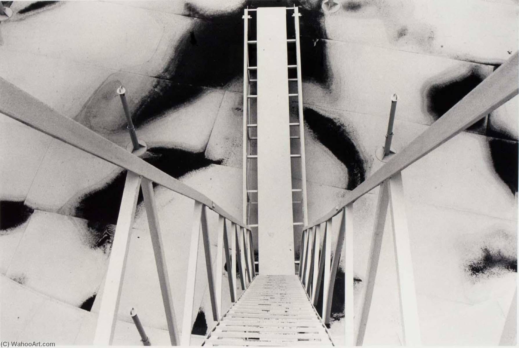 Untitled (white Ladder, Vie Down Towards Roof) — Burk Uzzle