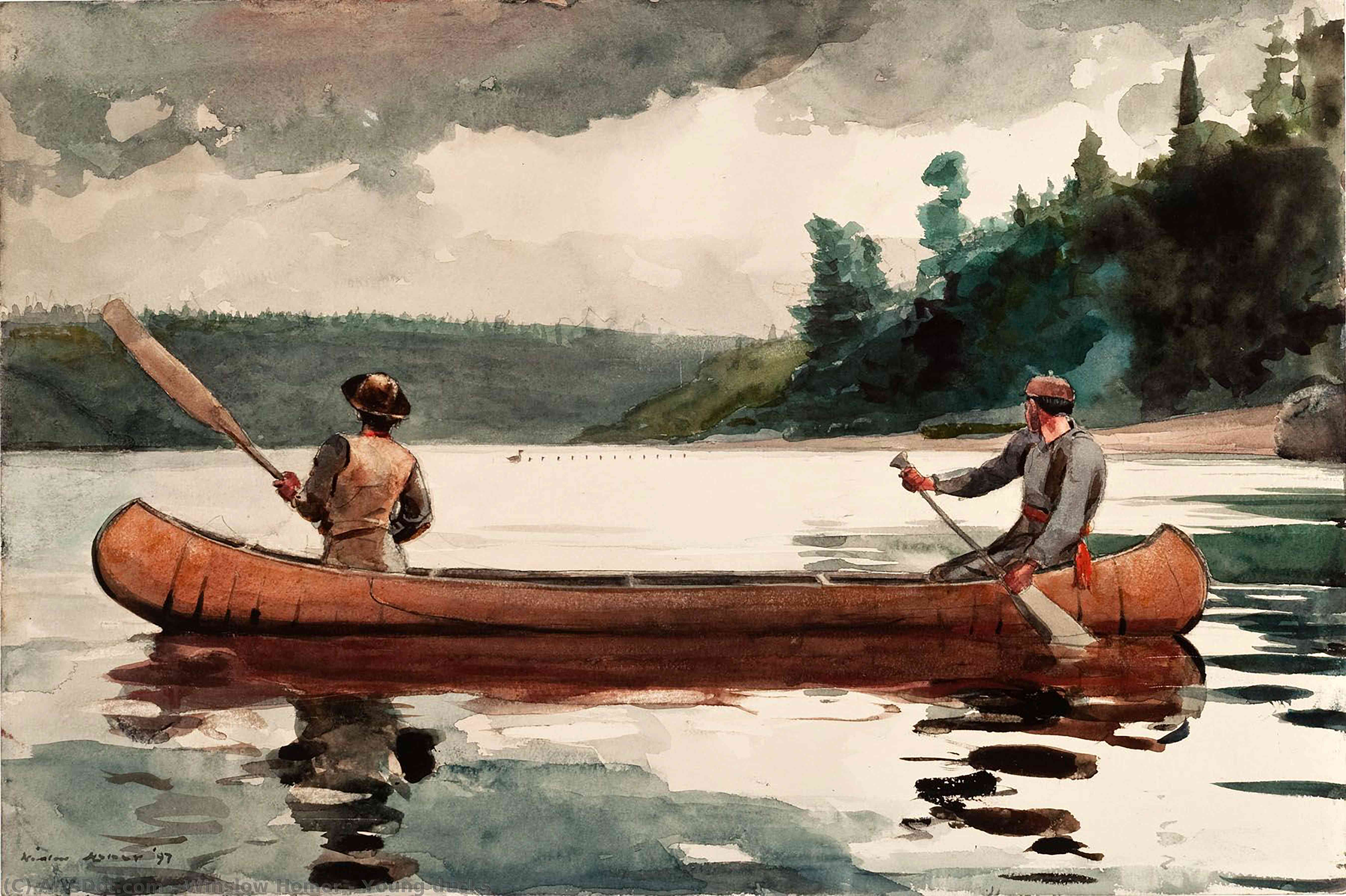 Young Ducks — Winslow Homer