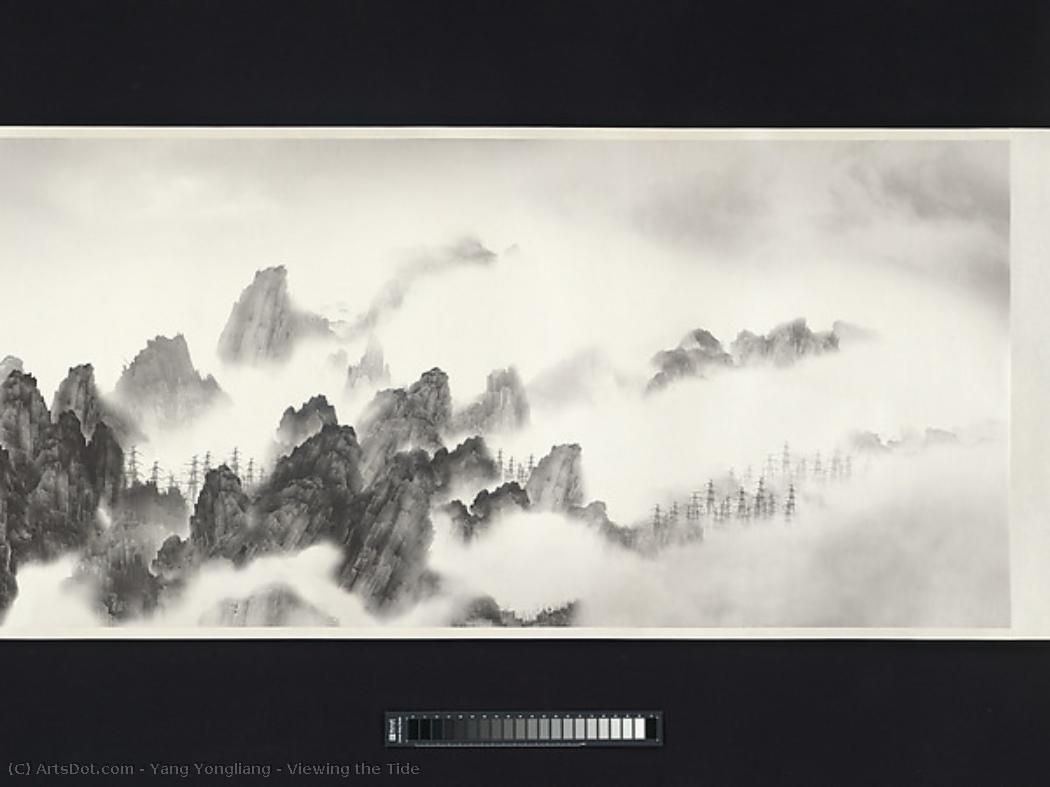Viewing The Tide — Yang Yongliang