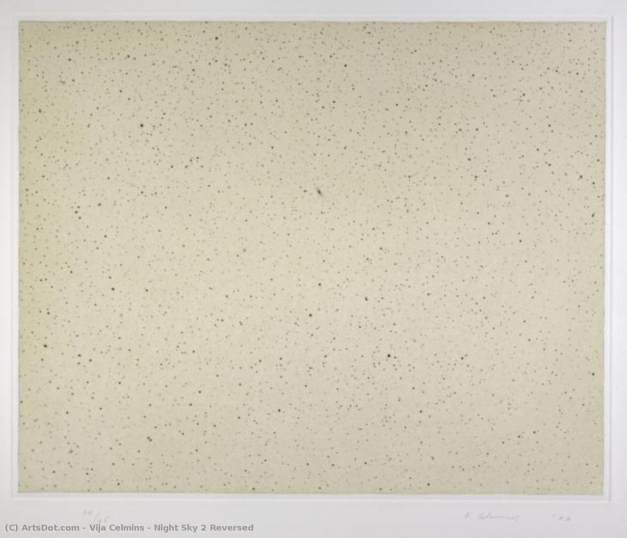 Night Sky 2 Reversed — Vija Celmins