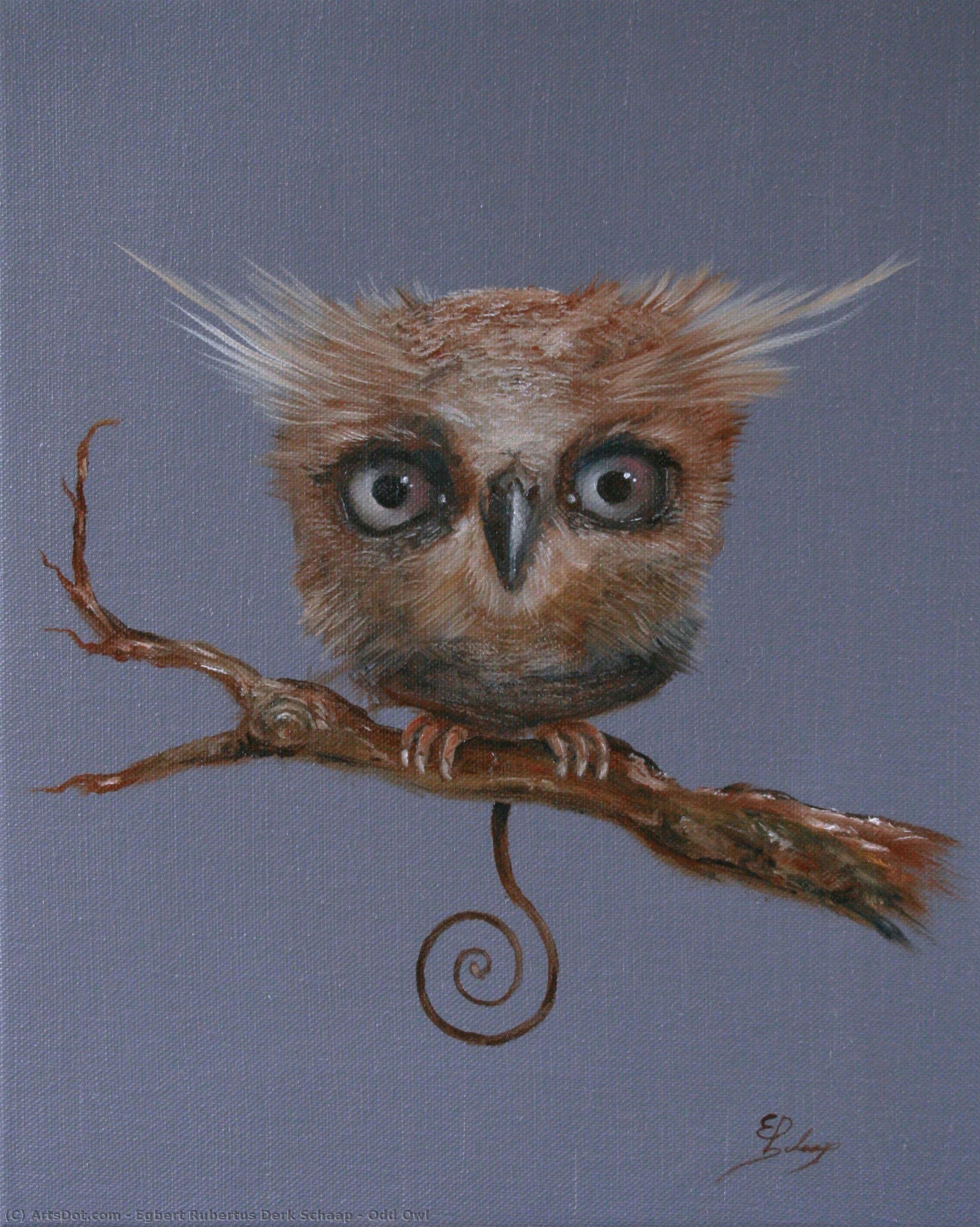 Odd Owl — Egbert Rubertus Derk Schaap