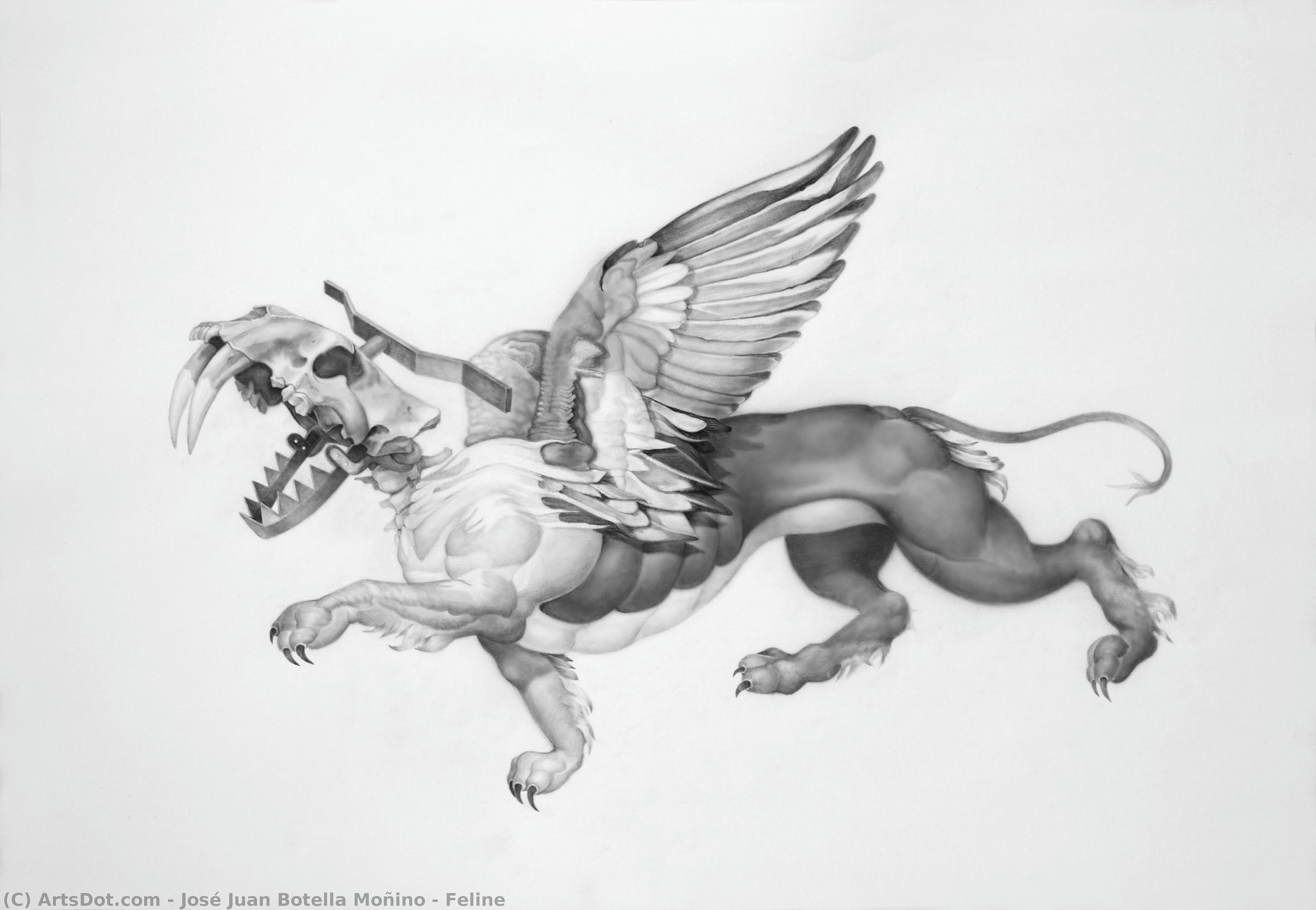 Feline — José Juan Botella Moñino