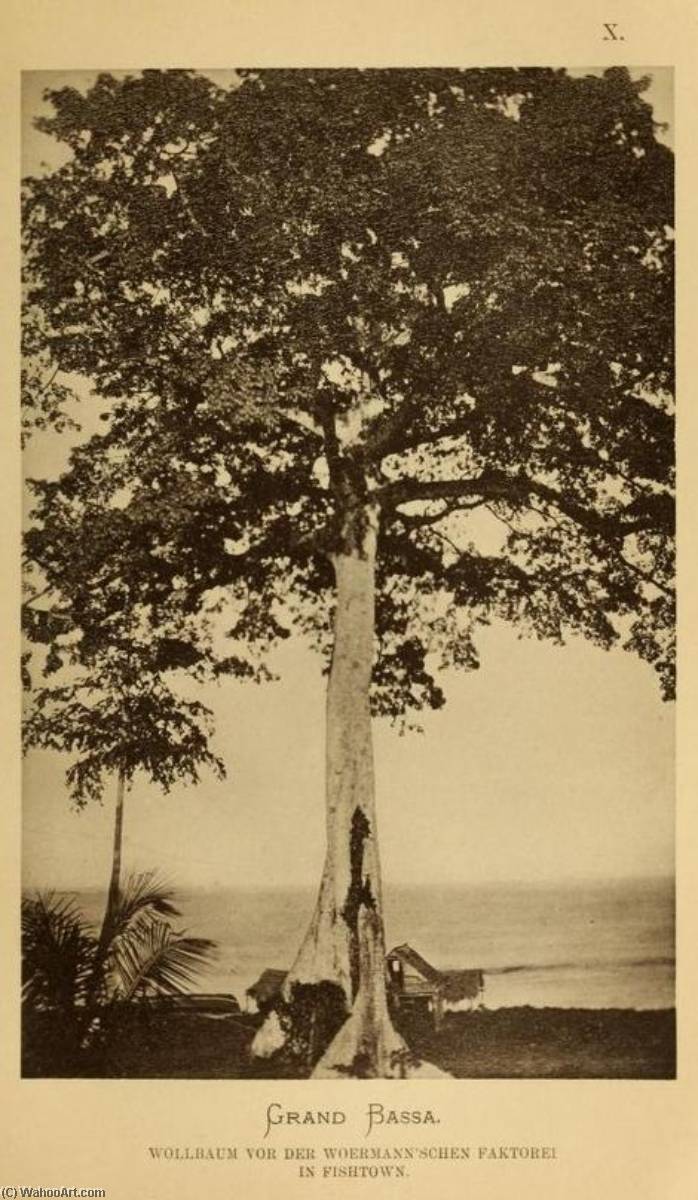 Untitled (aqu5xf) — Johann Büttikofer