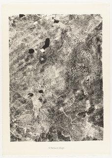 Lively Blot (flétrissure Allègre) From The Portfolio Sites And Paths (sites Et Chaussées) From Phenomena (les Phénomènes) — Jean Philippe Arthur Dubuffet