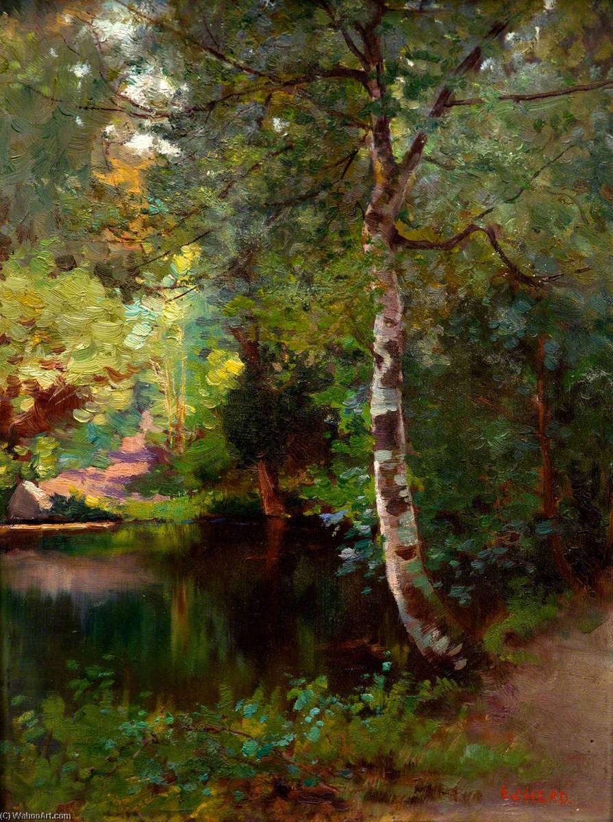 Waggoners Well — Edward Joseph Head