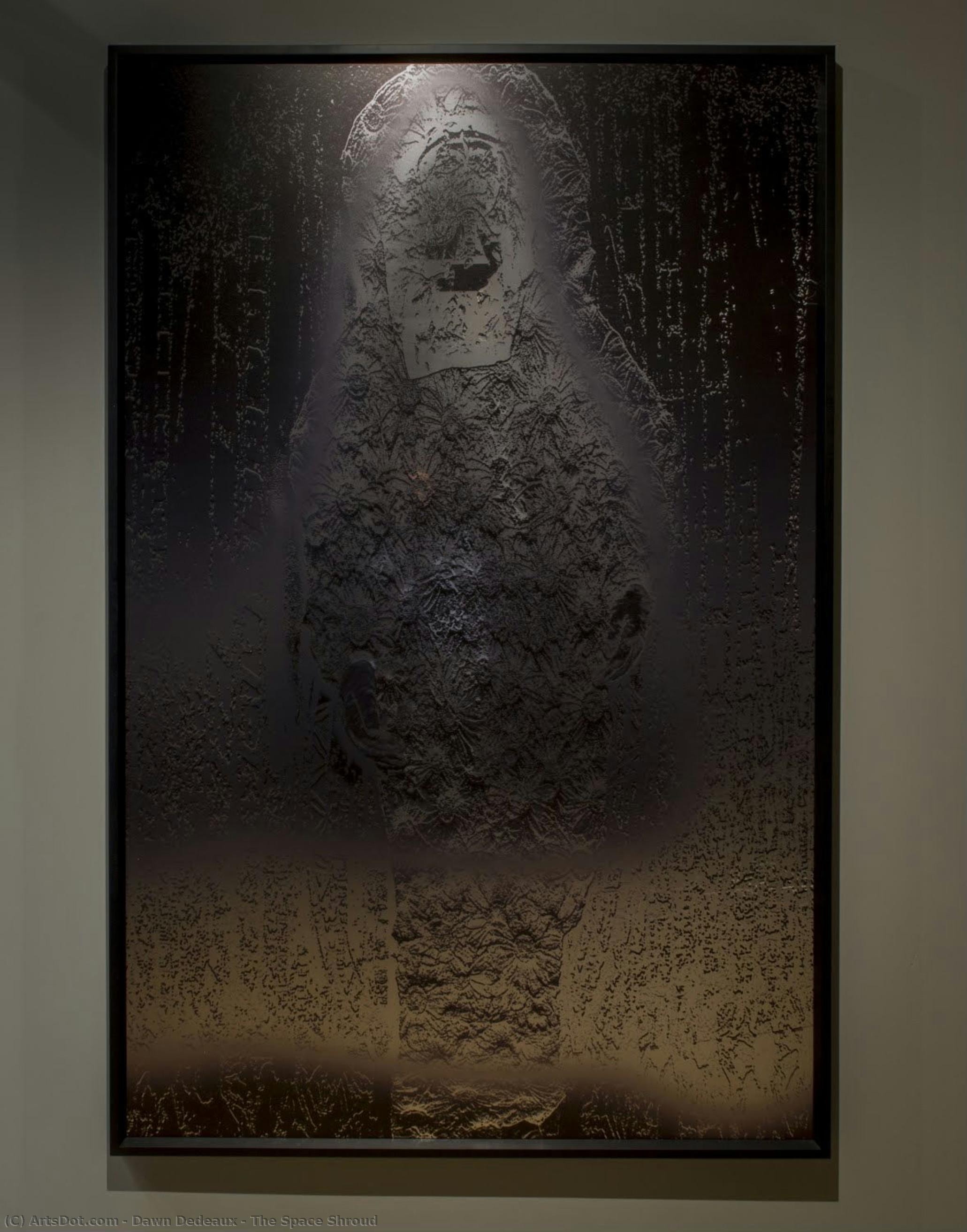 The Space Shroud — Dawn Dedeaux