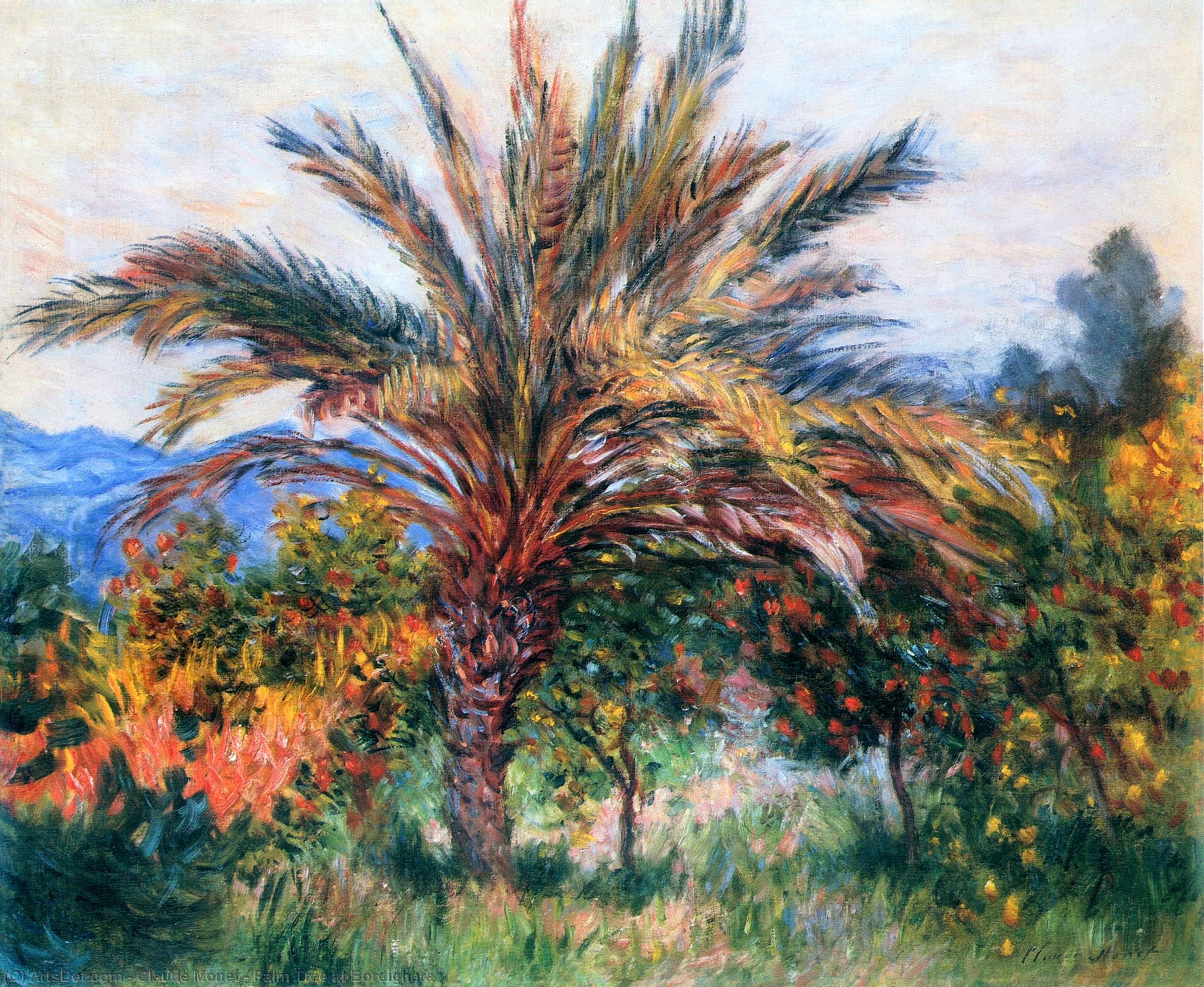 Palm Tree At Bordighera — Claude Monet