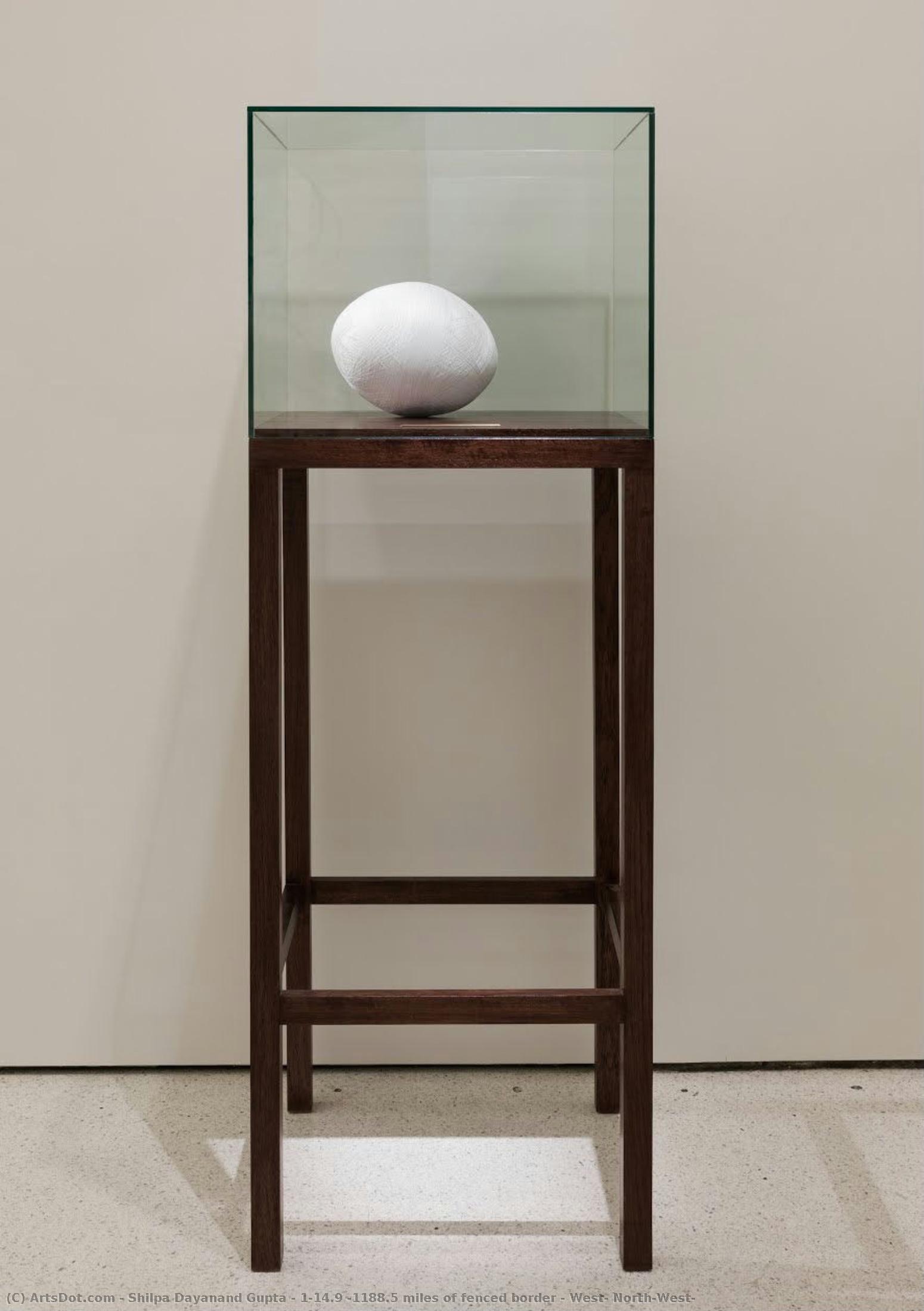 1:14.9 (1188.5 Miles Of Fenced Border - West, North-west) — Shilpa Gupta